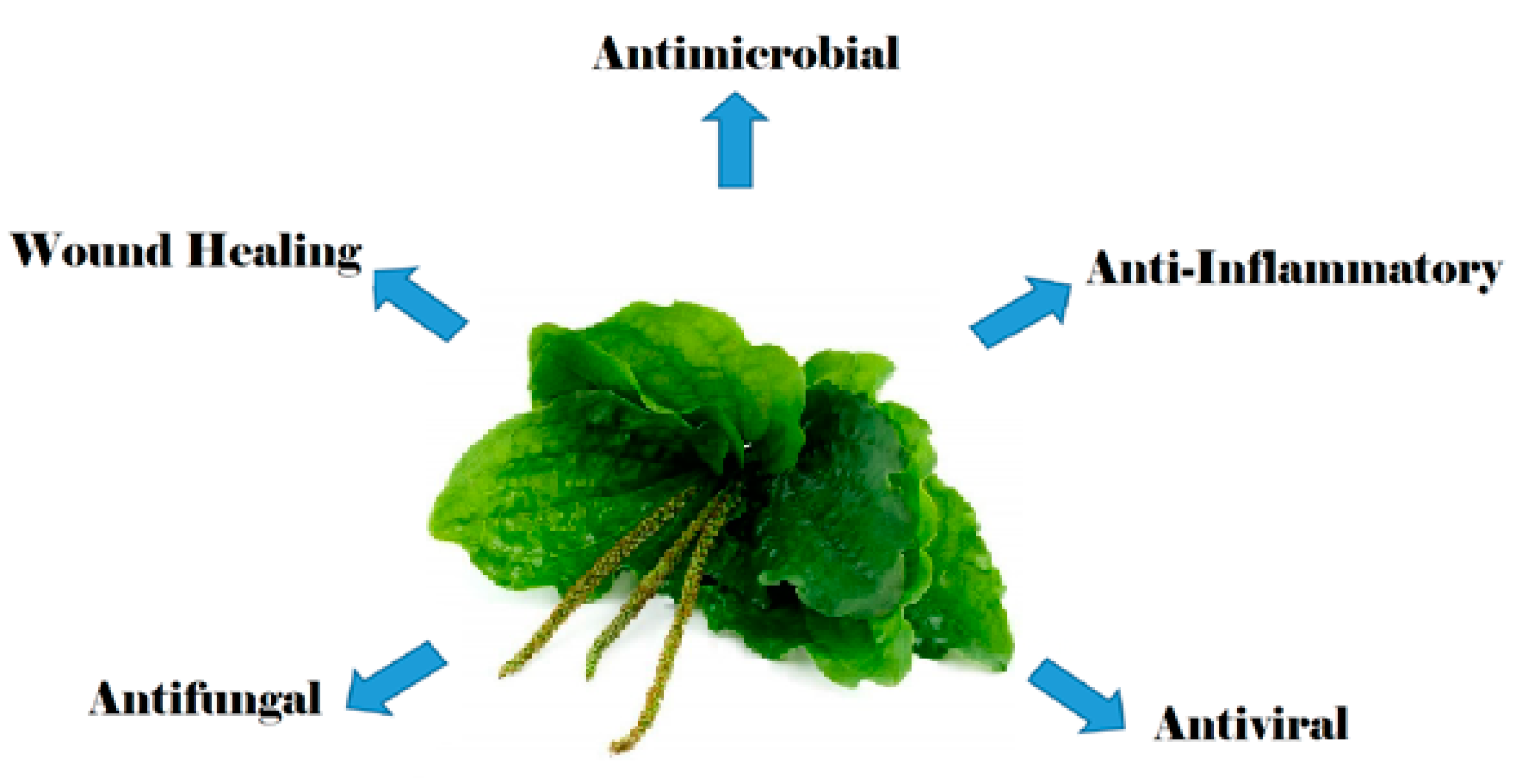 Pharmaceuticals 16 01092 g002 Pharmaceuticals 16 01092 g002