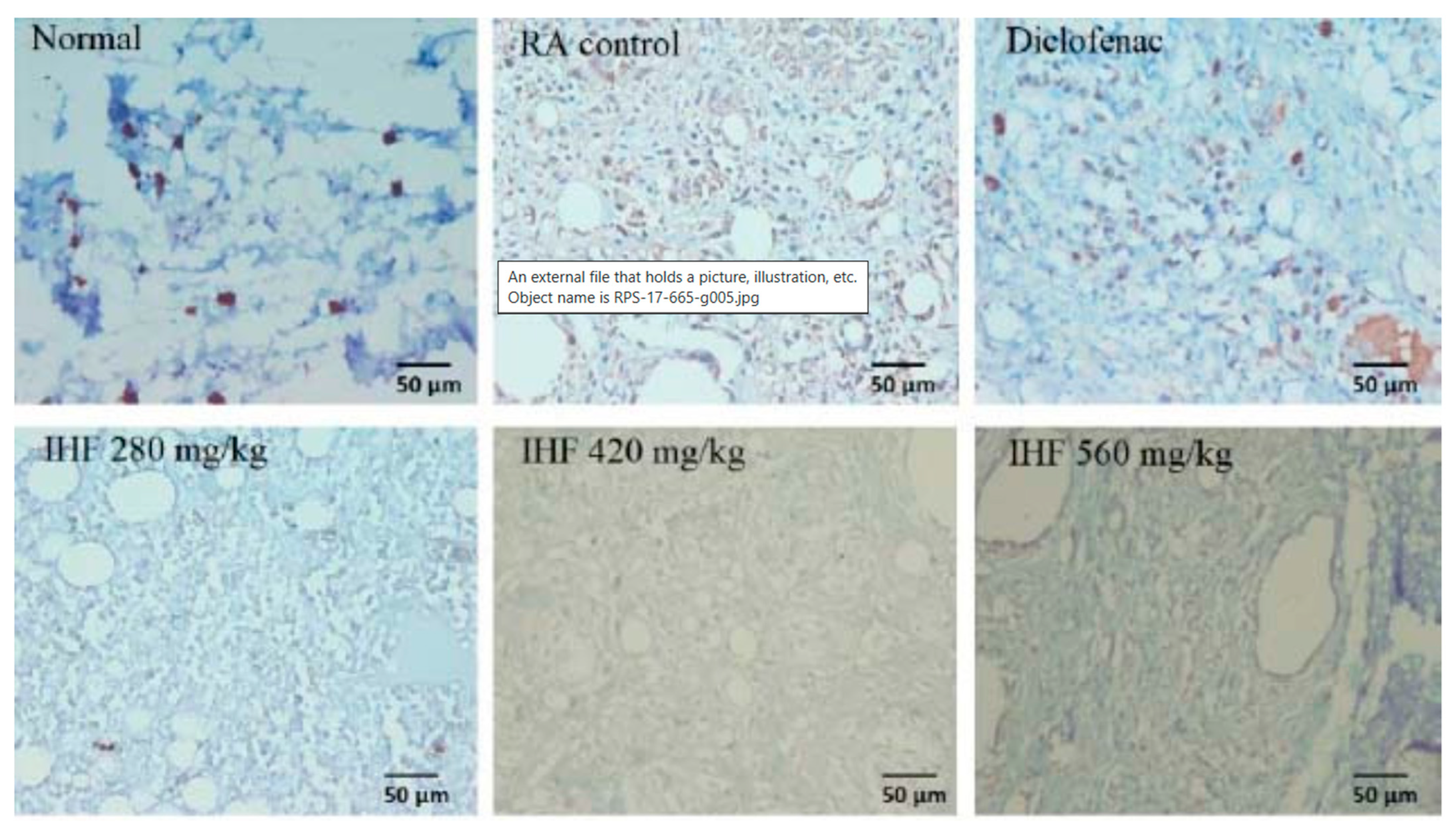 Pharmaceuticals 16 01092 g004 Pharmaceuticals 16 01092 g004