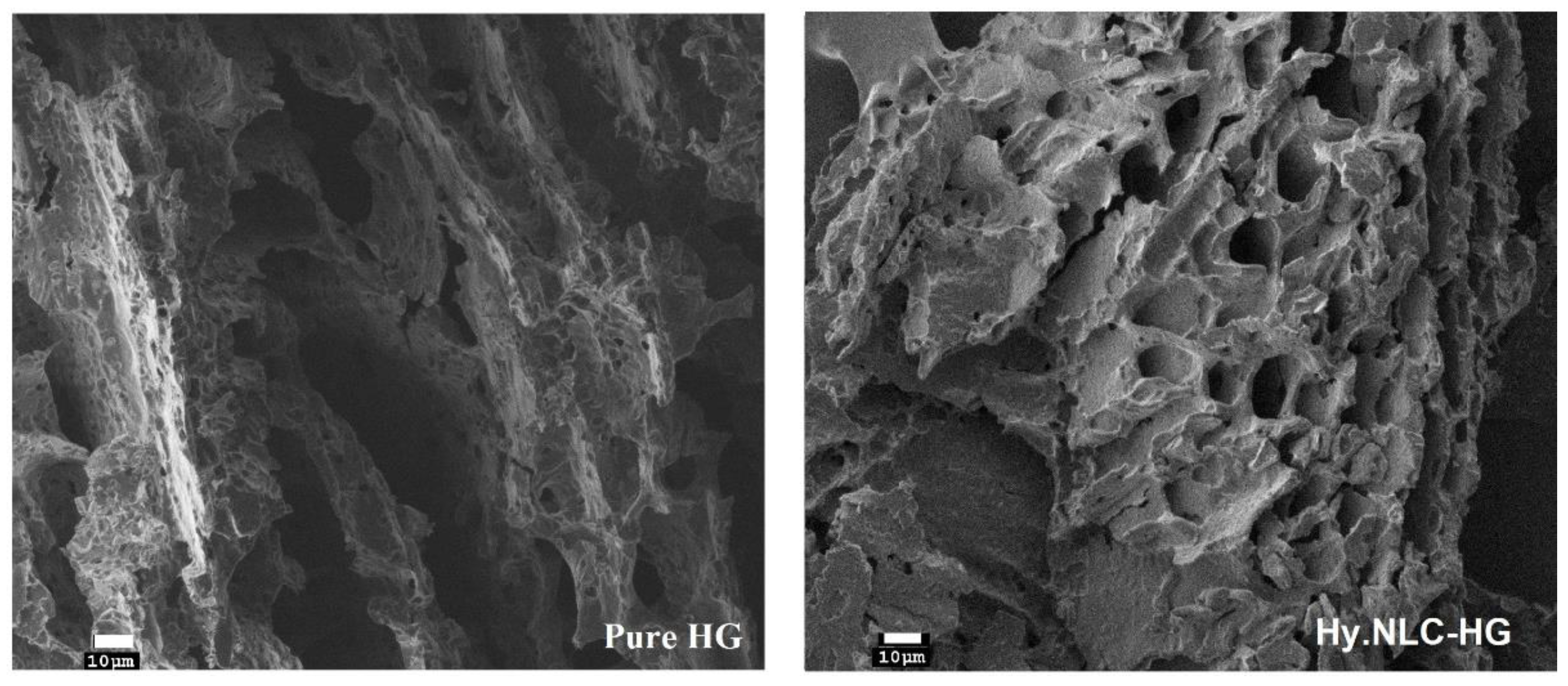 Pharmaceuticals 16 01094 g001