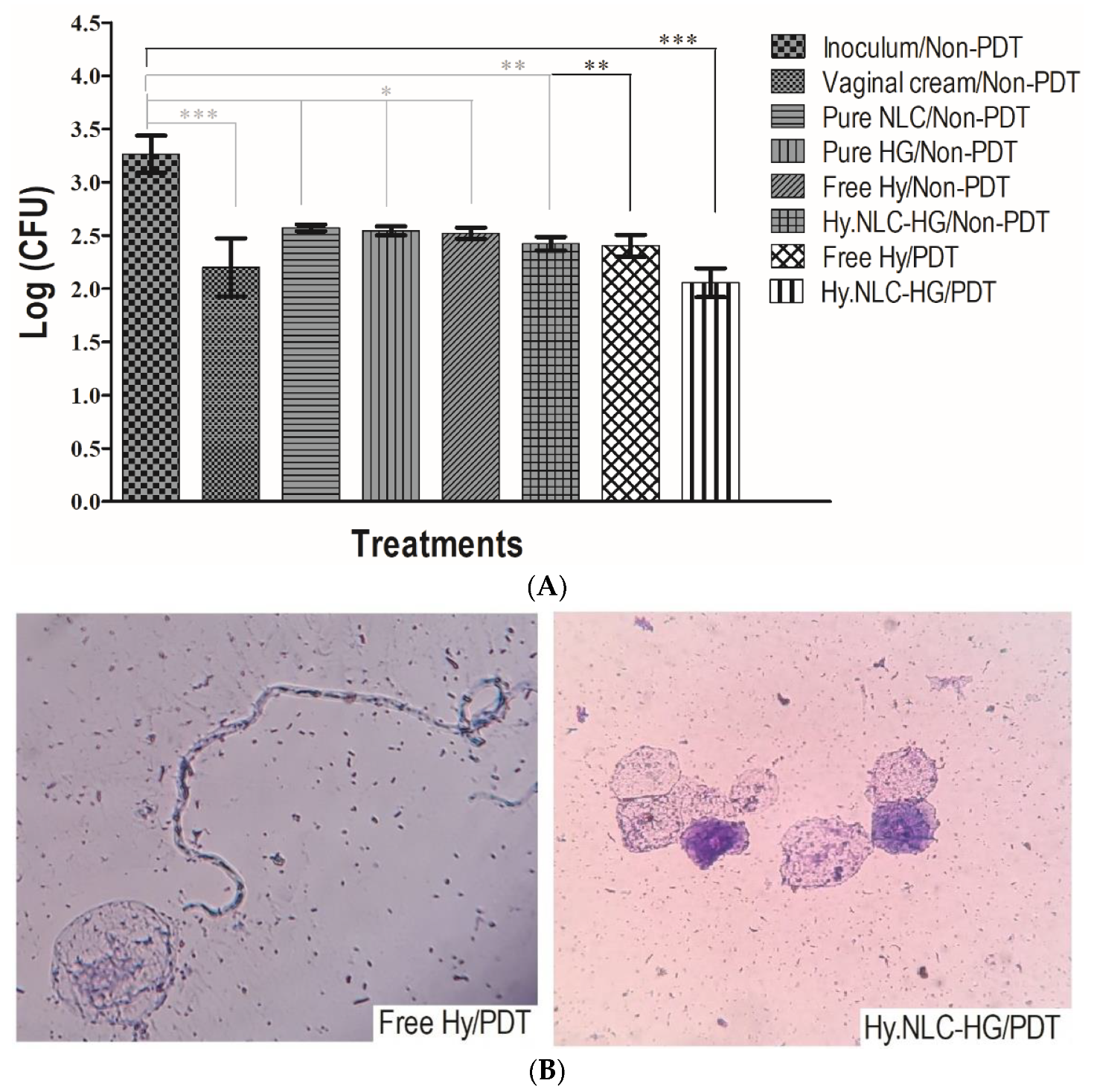 Pharmaceuticals 16 01094 g005