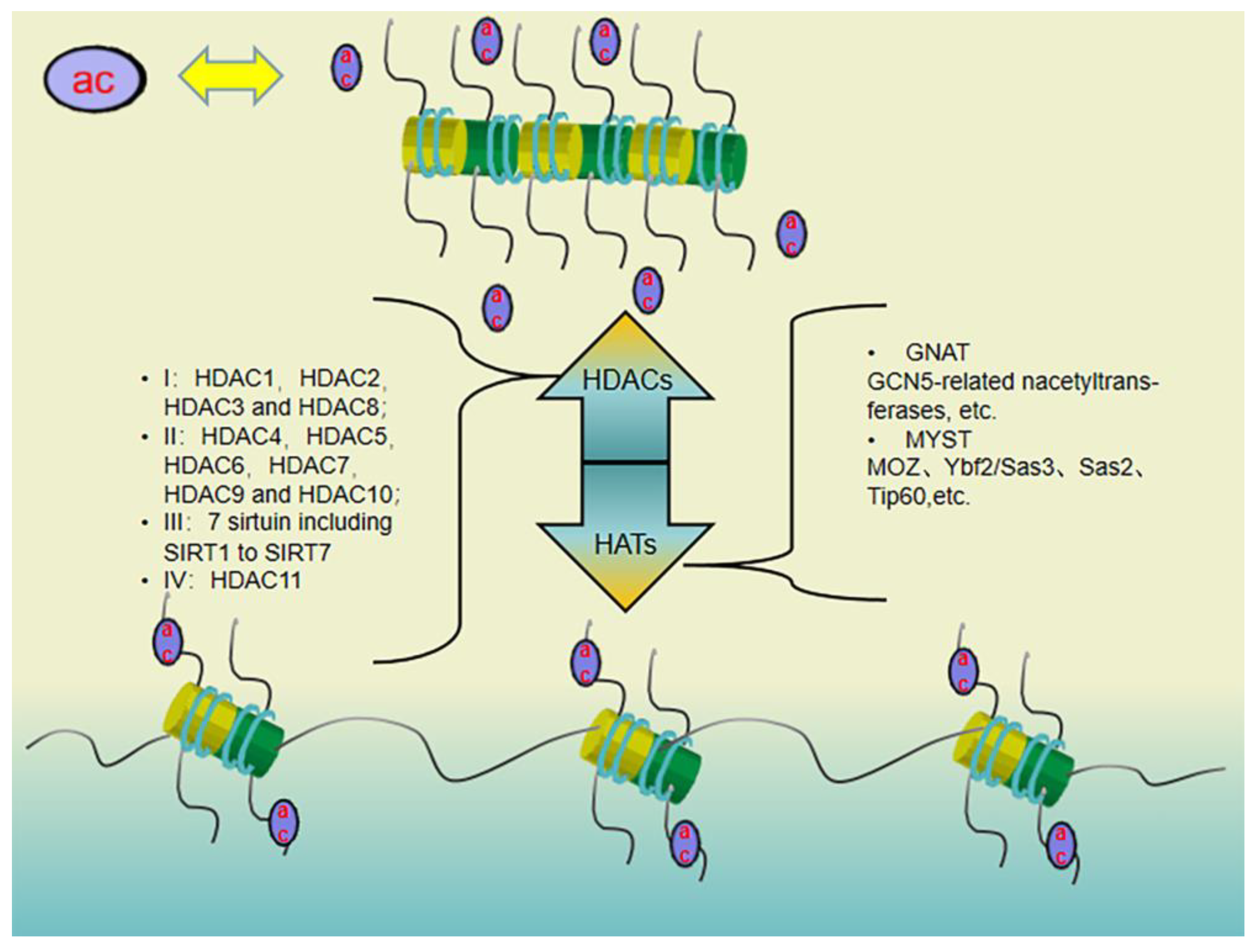 Pharmaceuticals 16 01095 g002 Pharmaceuticals 16 01095 g002