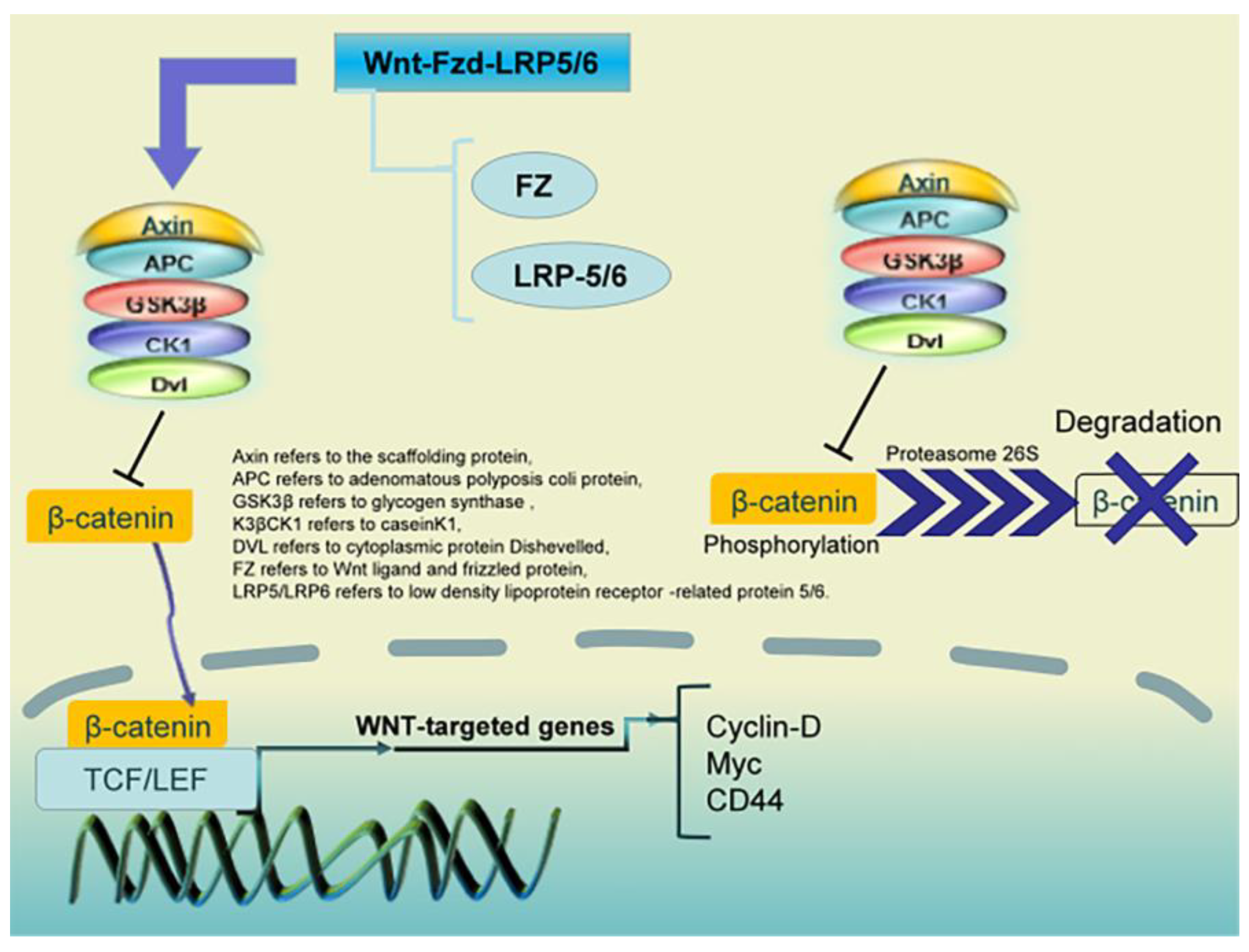 Pharmaceuticals 16 01095 g004 Pharmaceuticals 16 01095 g004