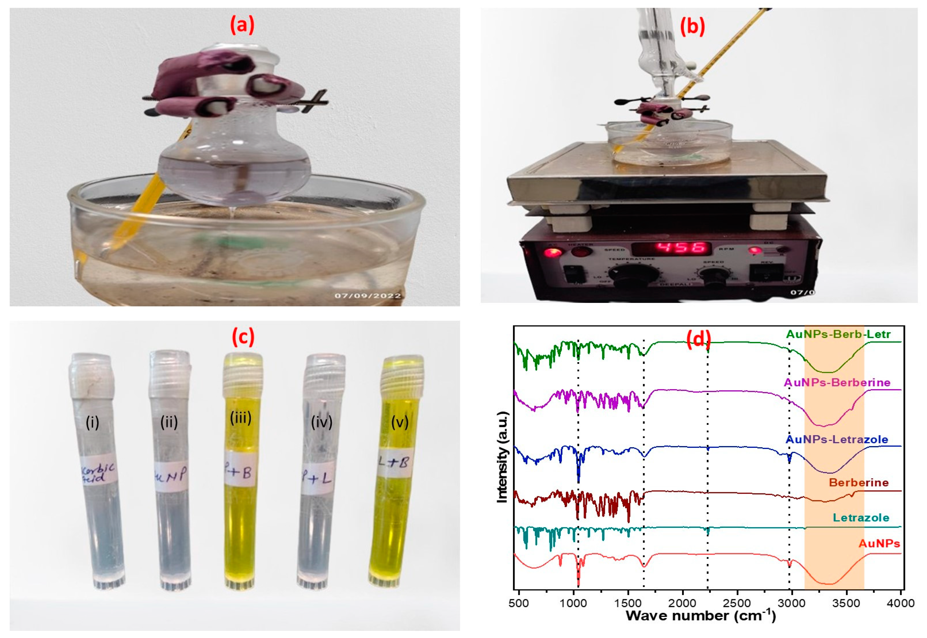 Pharmaceuticals 16 01099 g001 Pharmaceuticals 16 01099 g001