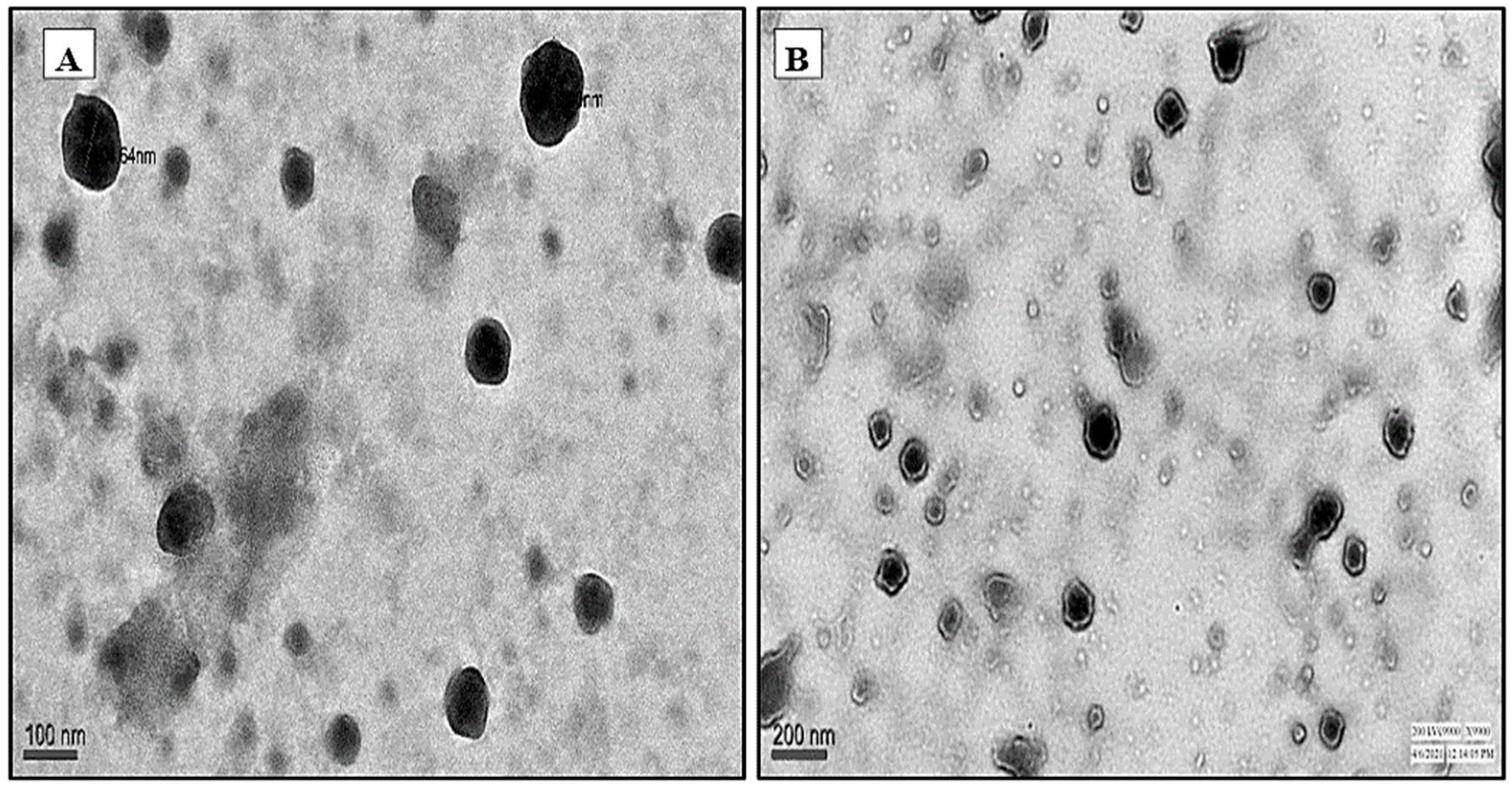 Pharmaceuticals 16 01108 g003 Pharmaceuticals 16 01108 g003