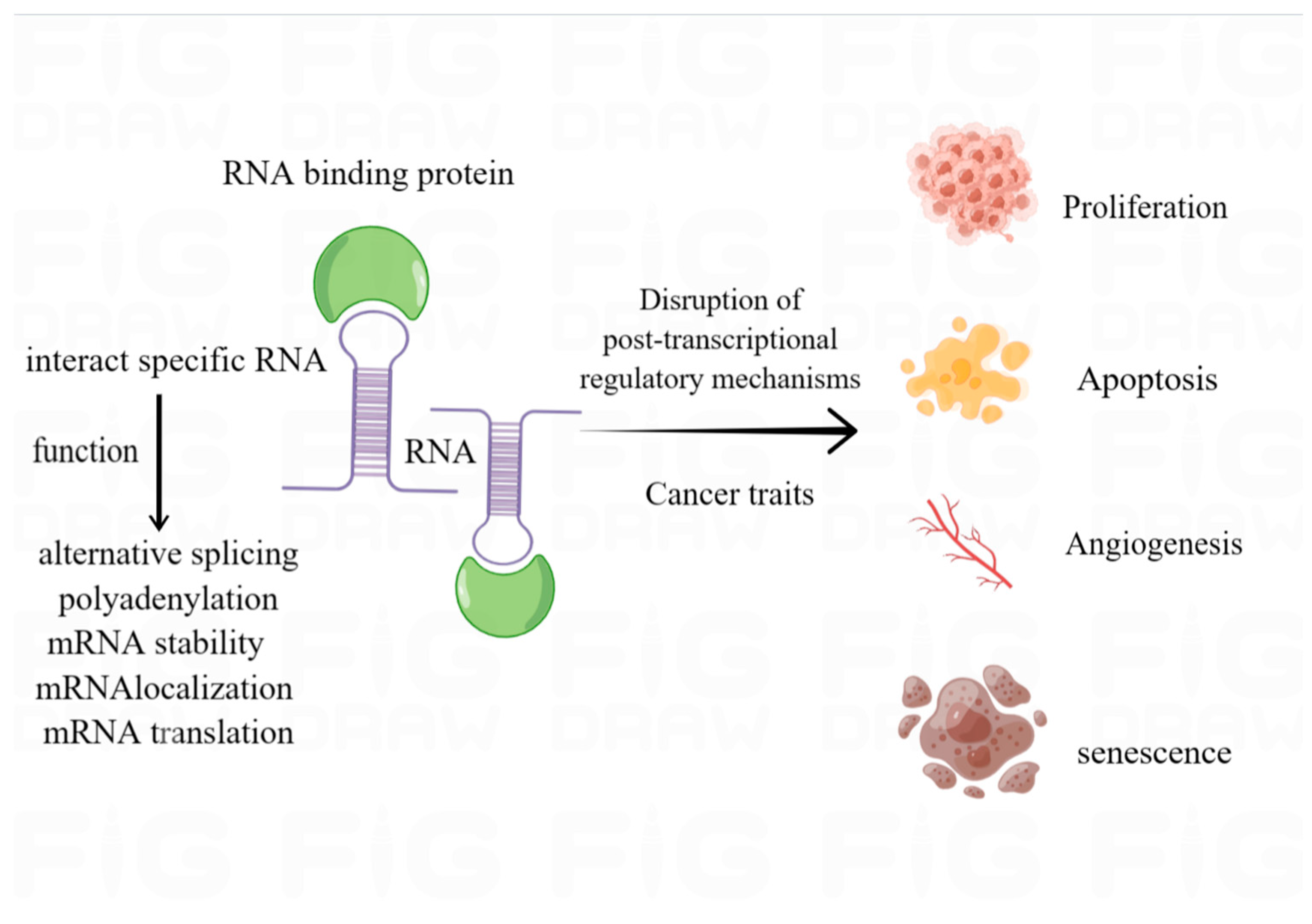 Pharmaceuticals 16 01114 g001 Pharmaceuticals 16 01114 g001