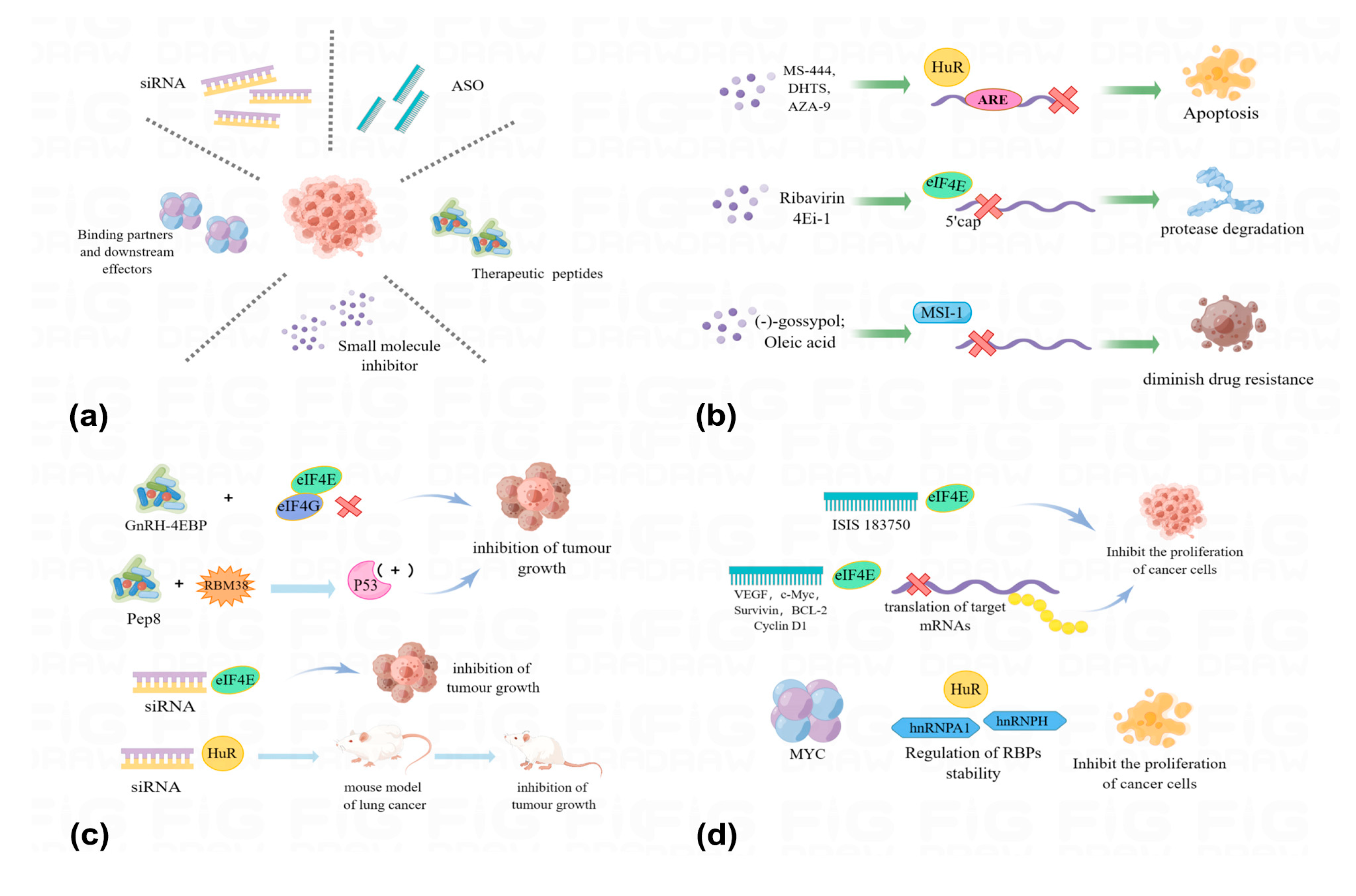 Pharmaceuticals 16 01114 g007 Pharmaceuticals 16 01114 g007