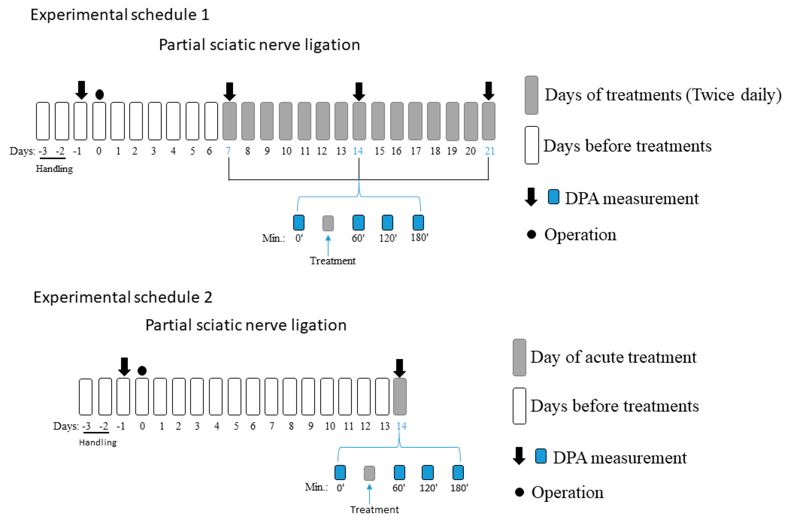 Pharmaceuticals 16 01115 sch001 Pharmaceuticals 16 01115 sch001
