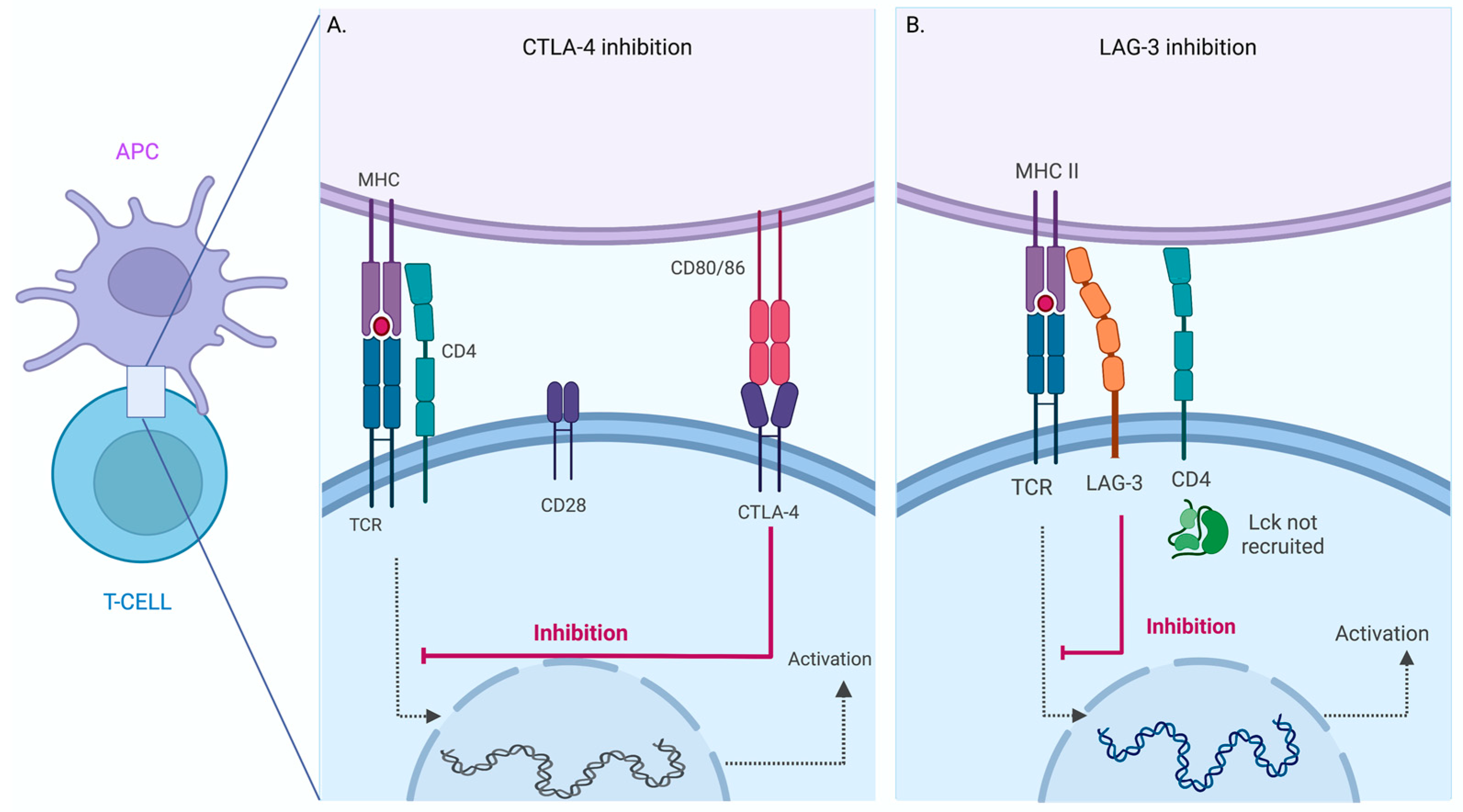 Pharmaceuticals 16 01119 g002 Pharmaceuticals 16 01119 g002