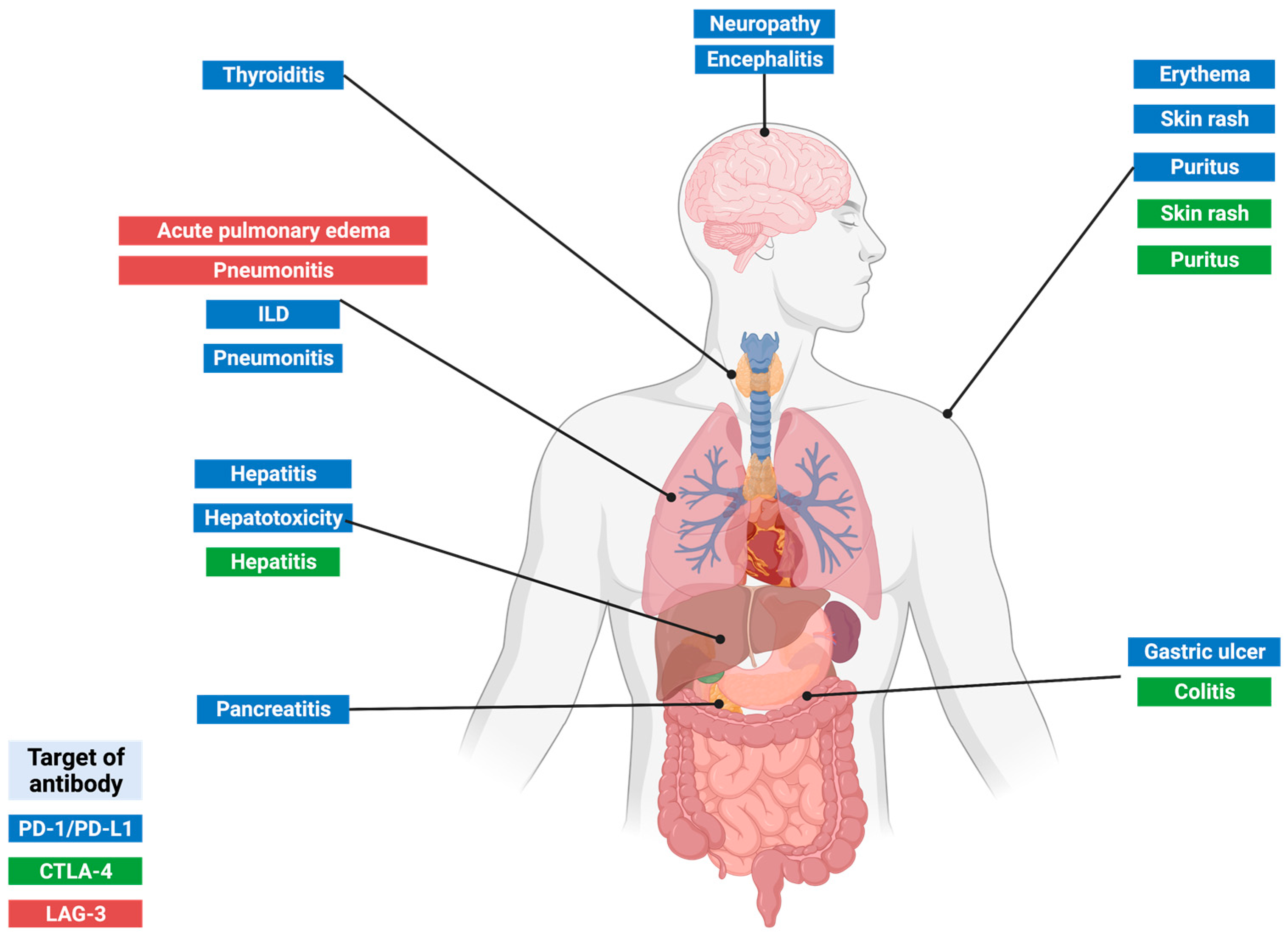 Pharmaceuticals 16 01119 g003 Pharmaceuticals 16 01119 g003