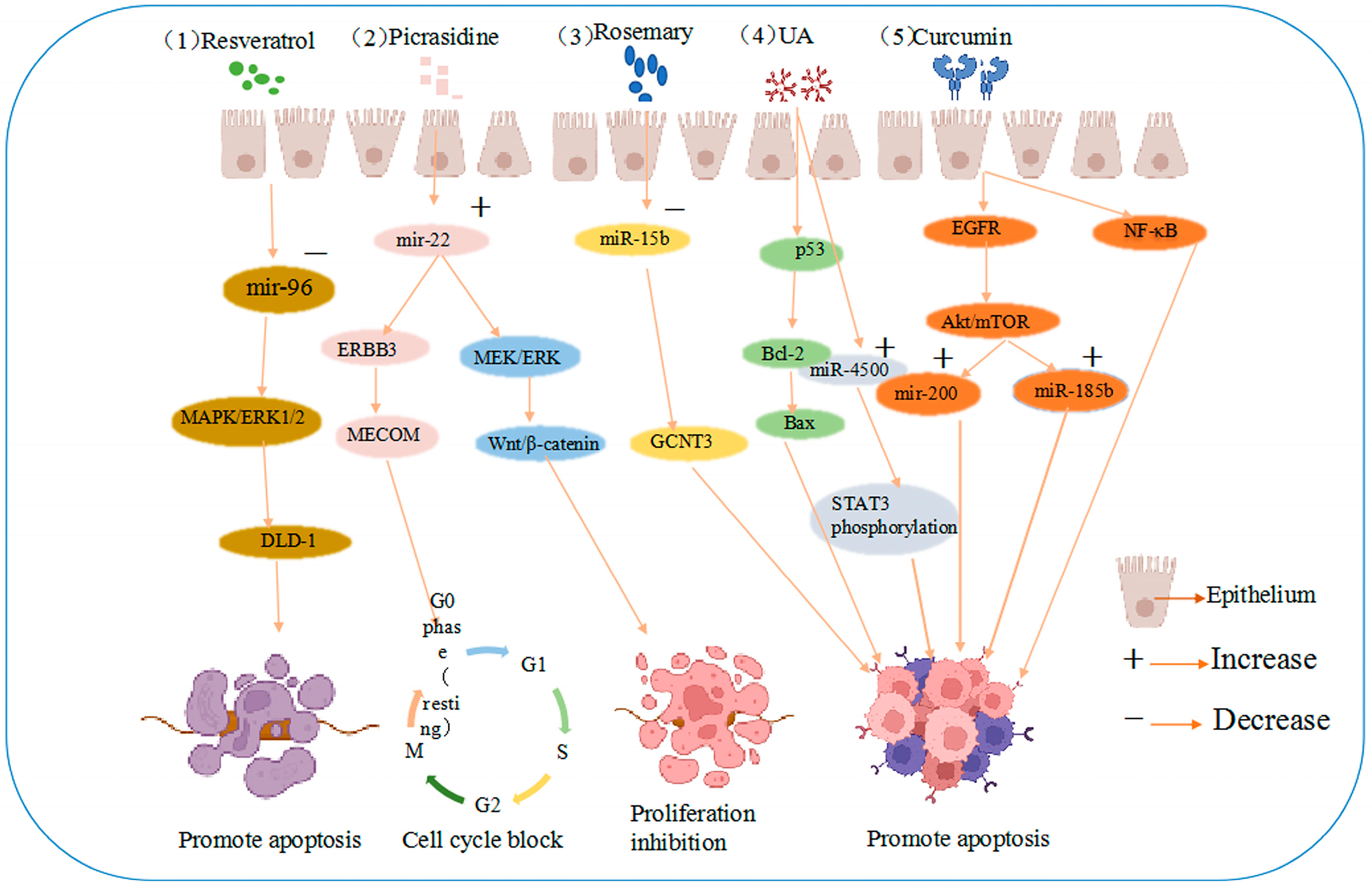 Pharmaceuticals 16 01122 g002