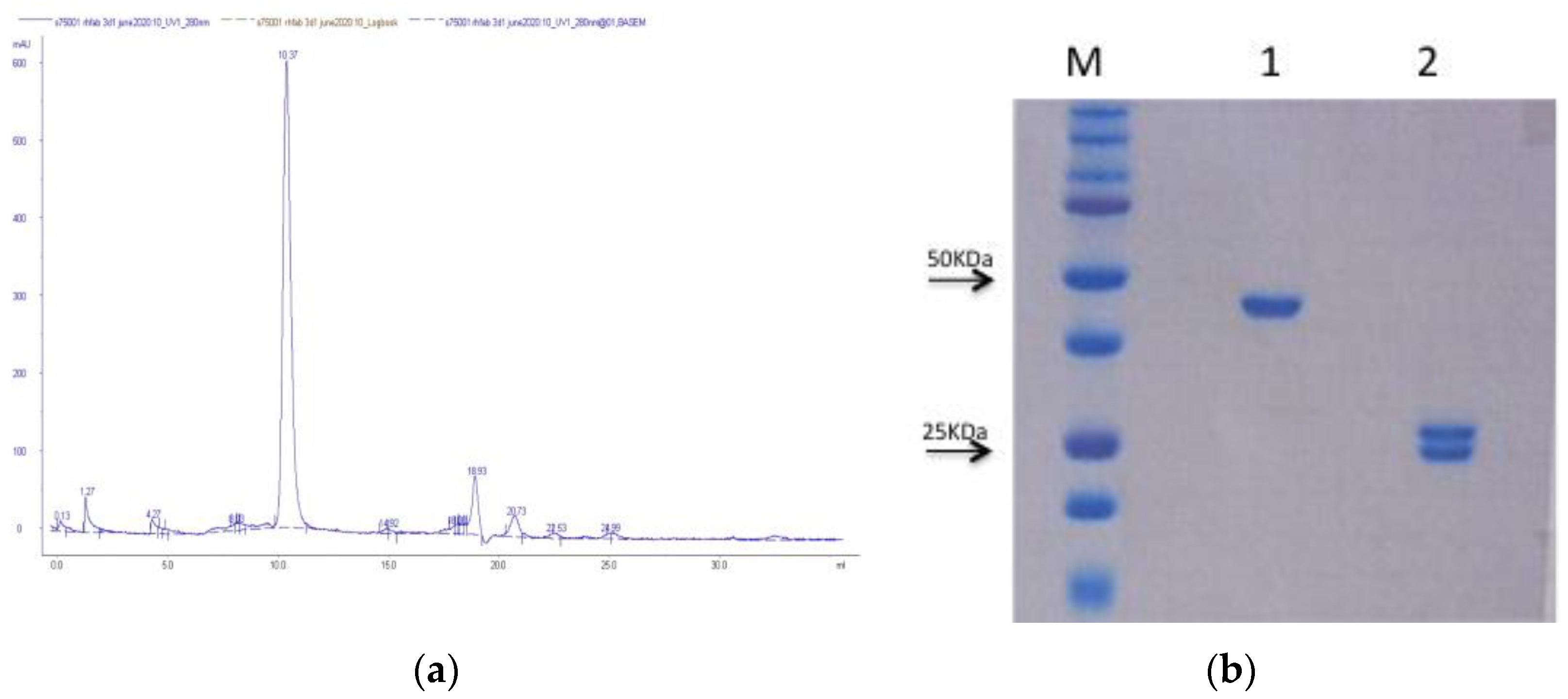 Pharmaceuticals 16 01130 g002