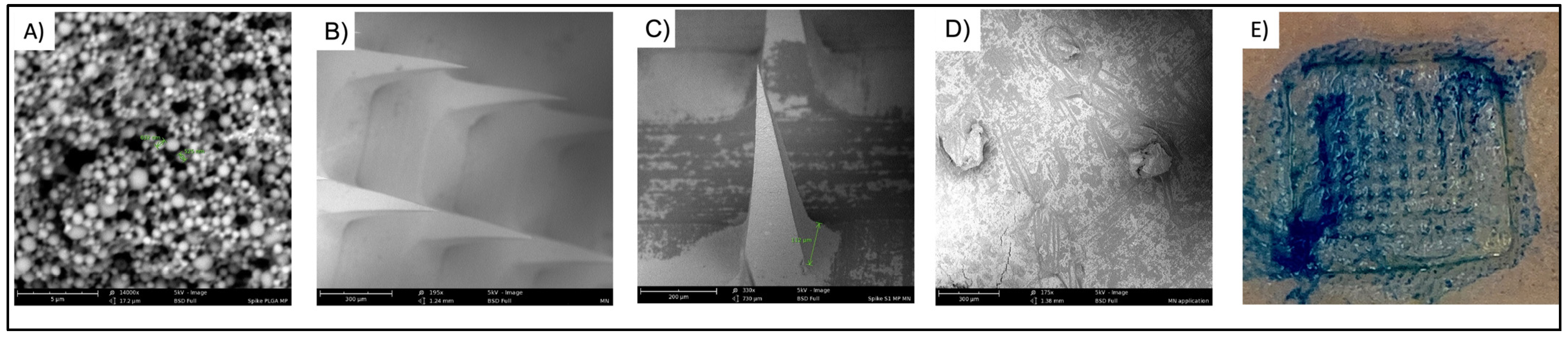 Pharmaceuticals 16 01131 g001