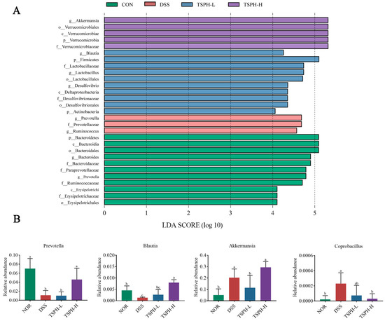タマリンド Tamarind Seed Polysaccharide Hydrolysate Ameliorates Dextran