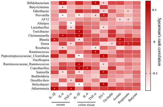 Tamarind Seed Polysaccharide Hydrolysate Ameliorates Dextran