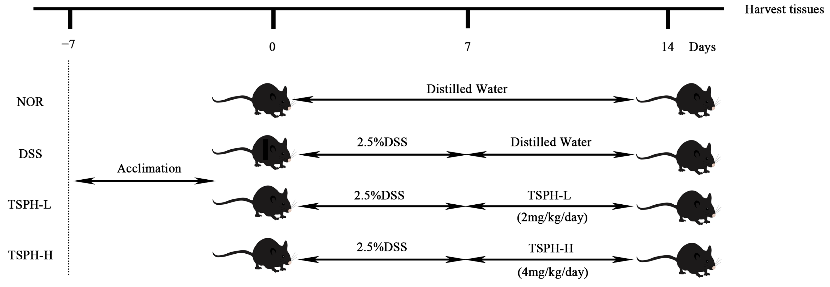 Pharmaceuticals 16 01133 g010 Pharmaceuticals 16 01133 g010