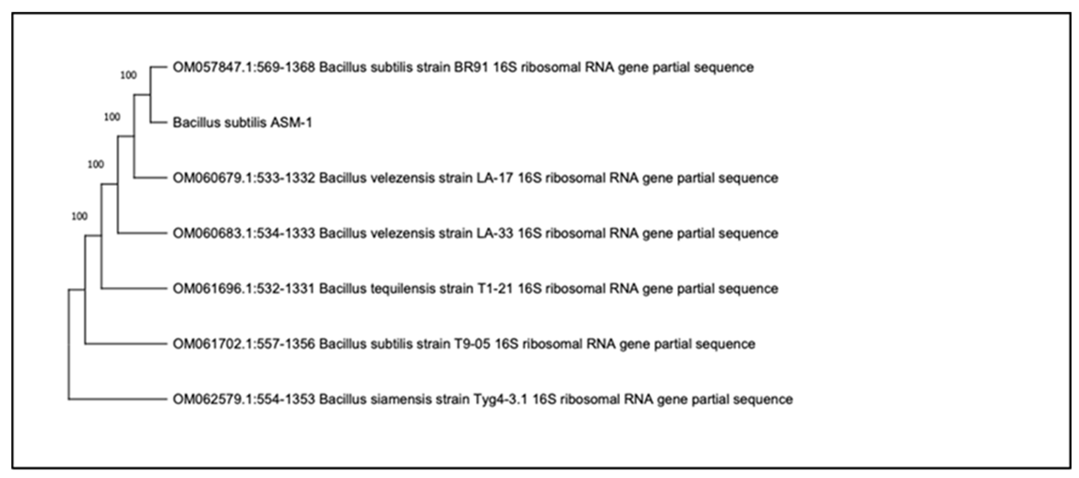 Pharmaceuticals 16 01139 g001 Pharmaceuticals 16 01139 g001