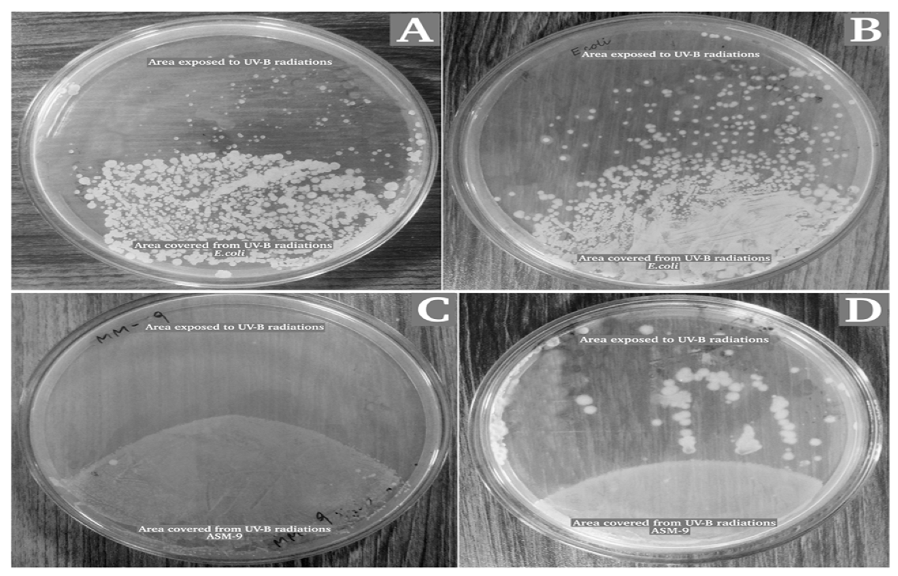 Pharmaceuticals 16 01139 g009 Pharmaceuticals 16 01139 g009