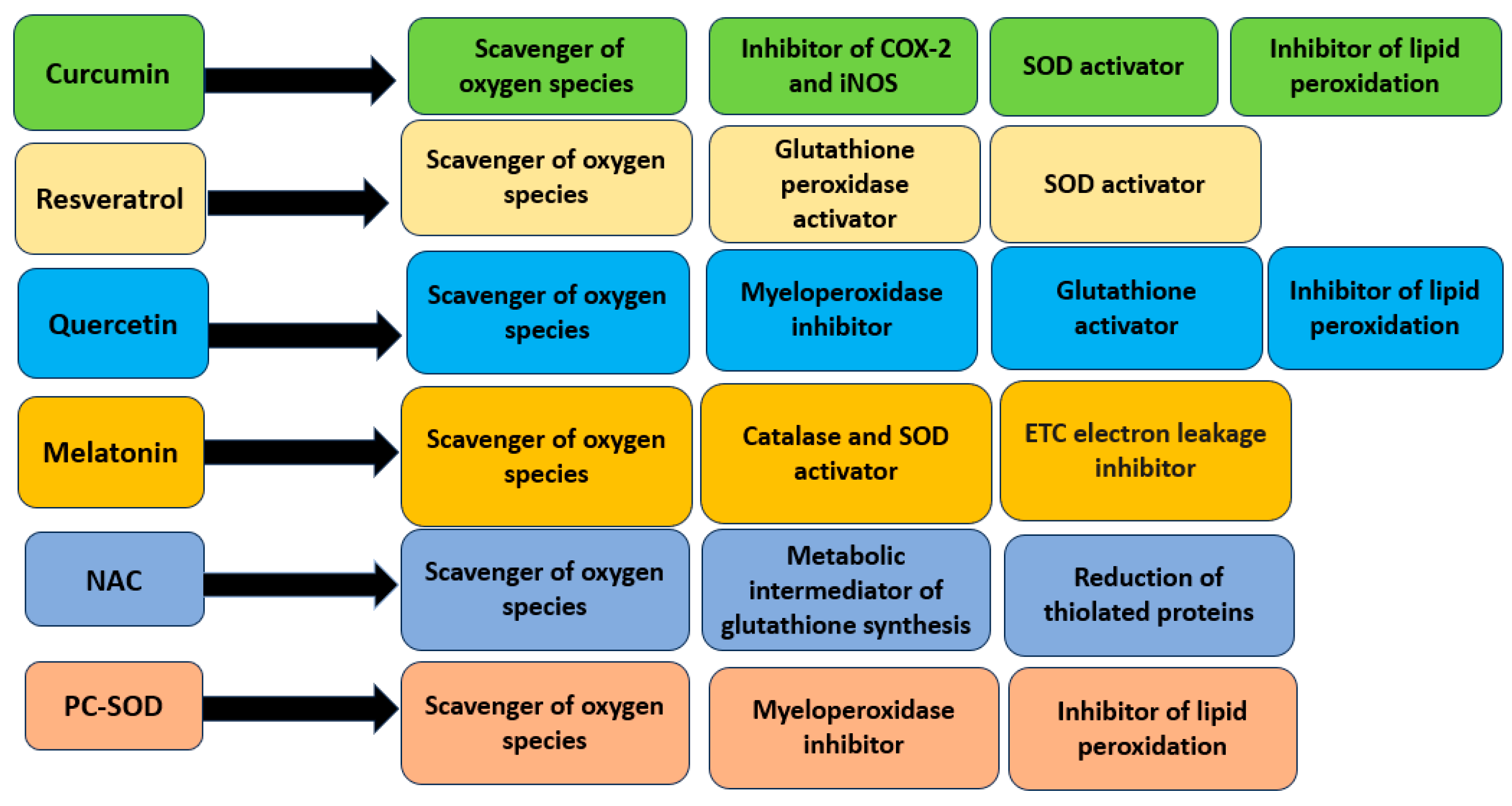 Pharmaceuticals 16 01150 g002