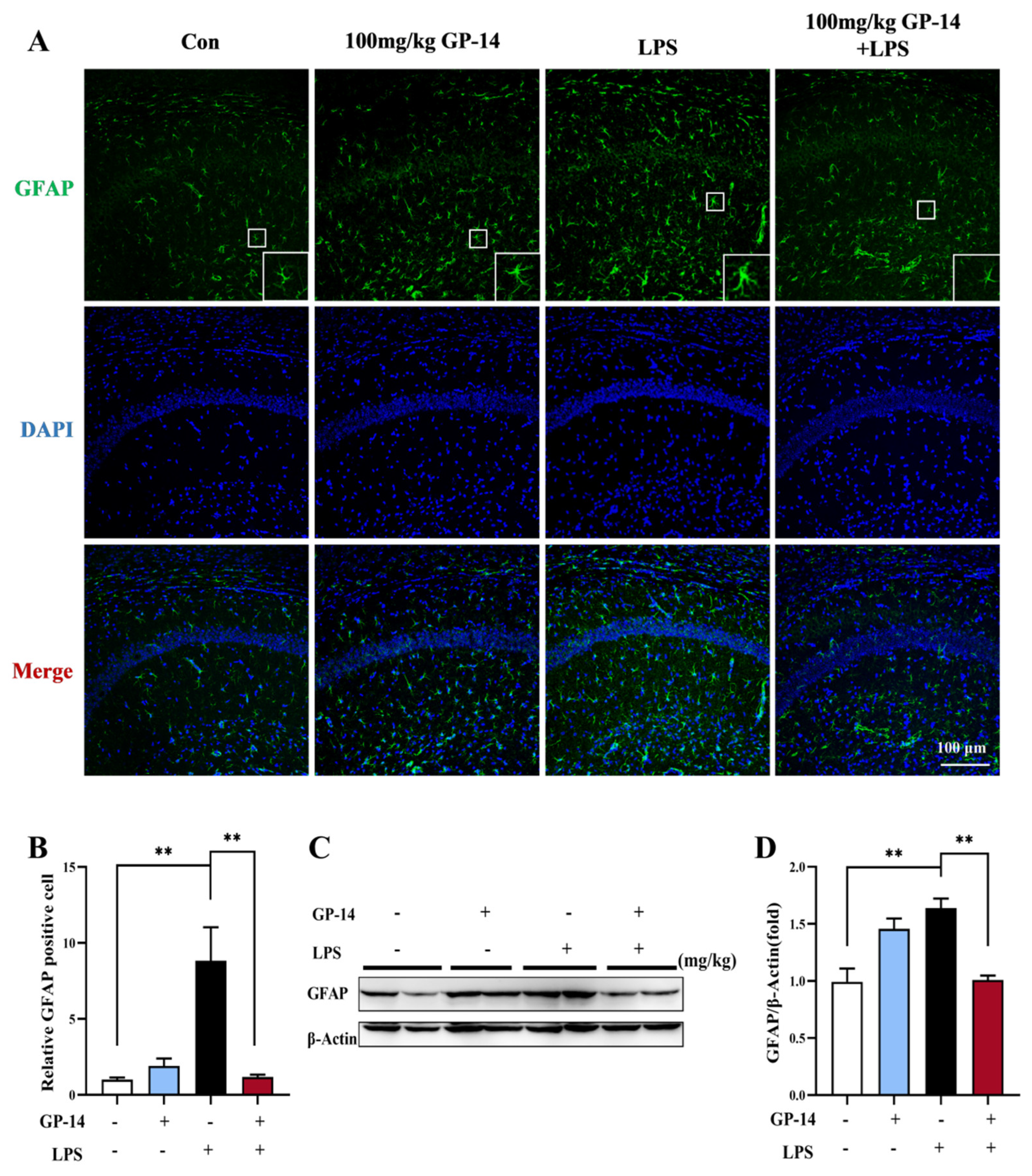 Pharmaceuticals 16 01152 g006