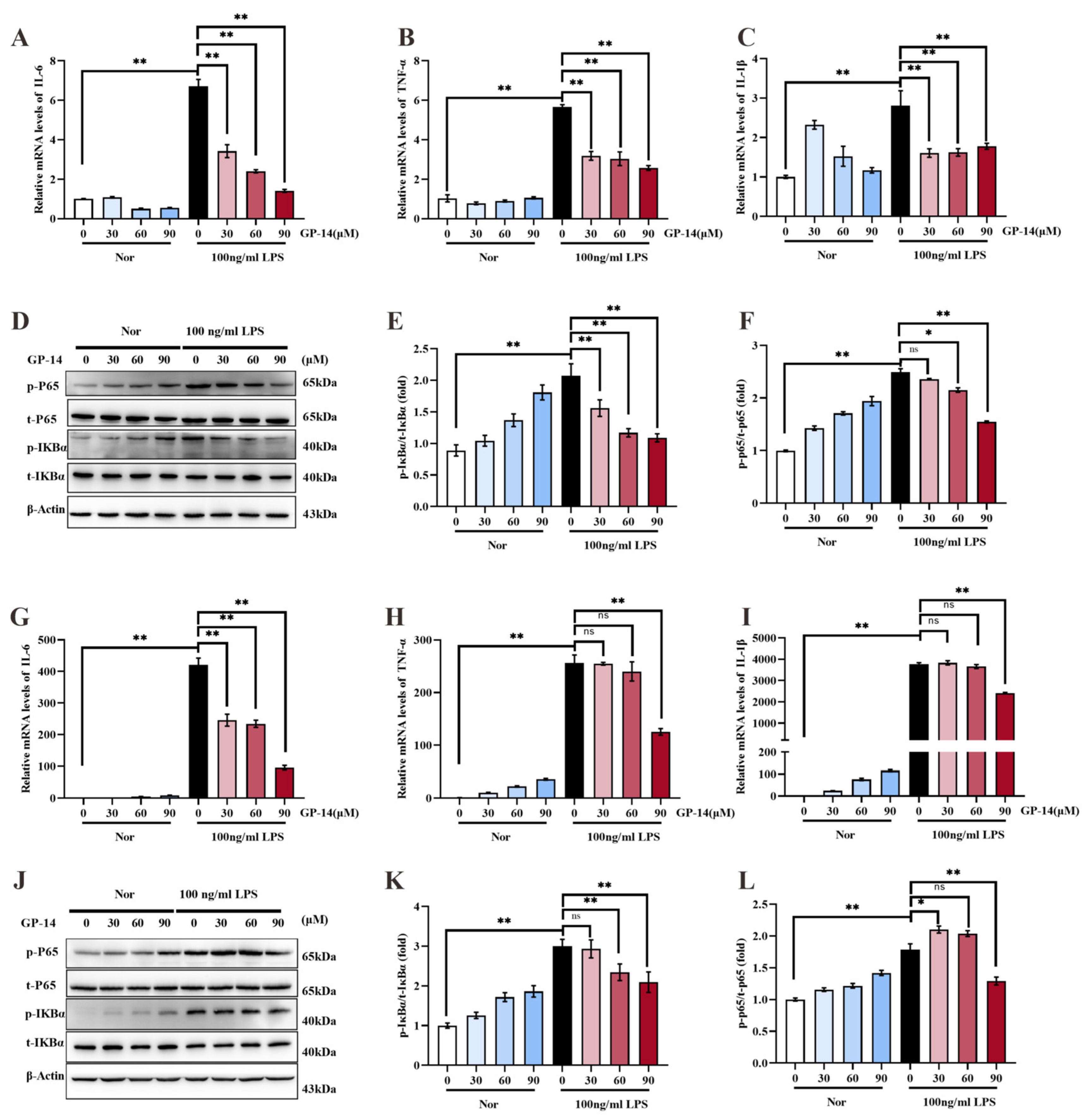 Pharmaceuticals 16 01152 g007