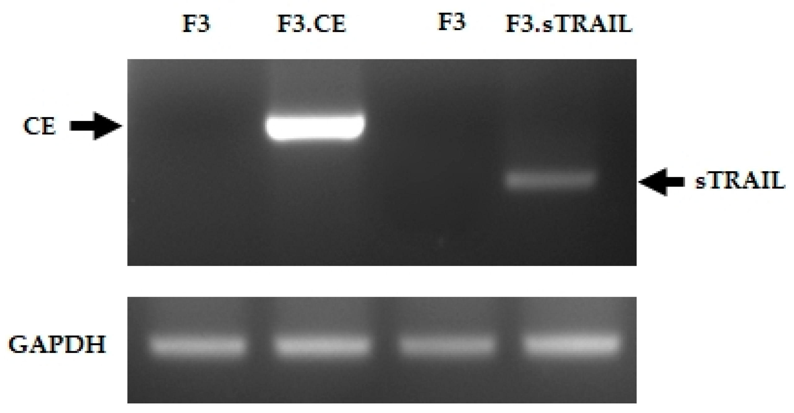 Pharmaceuticals 16 01156 g001