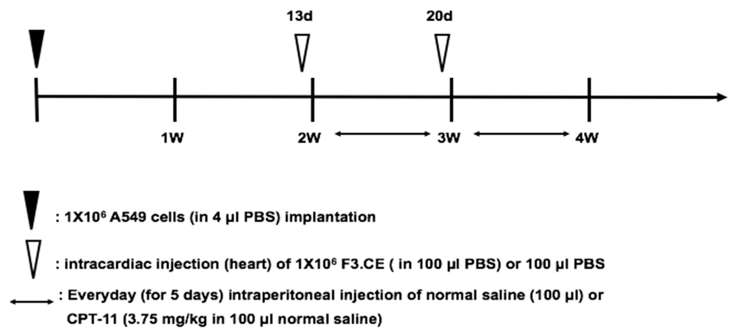 Pharmaceuticals 16 01156 g006
