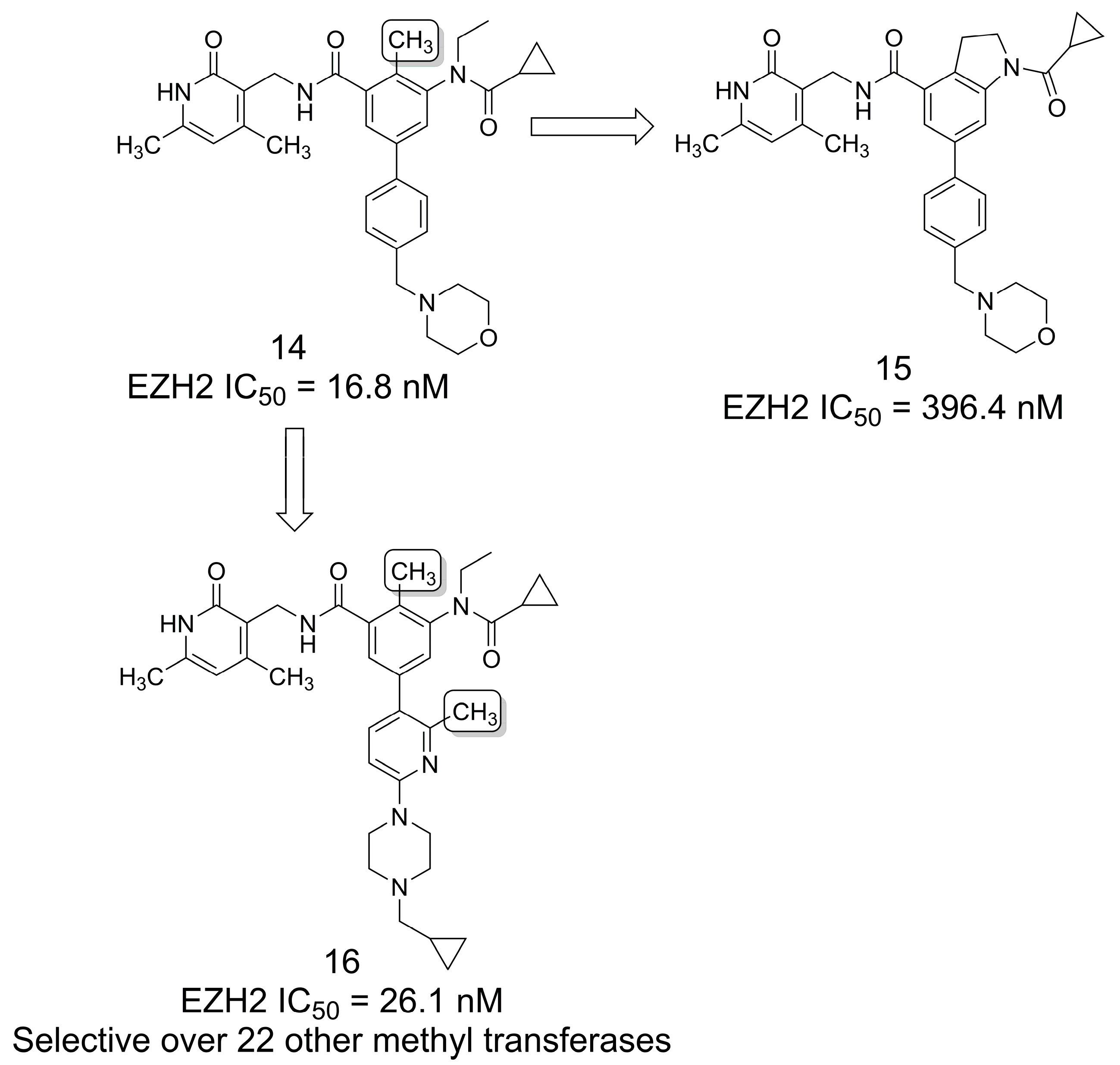 Pharmaceuticals 16 01157 g002 Pharmaceuticals 16 01157 g002