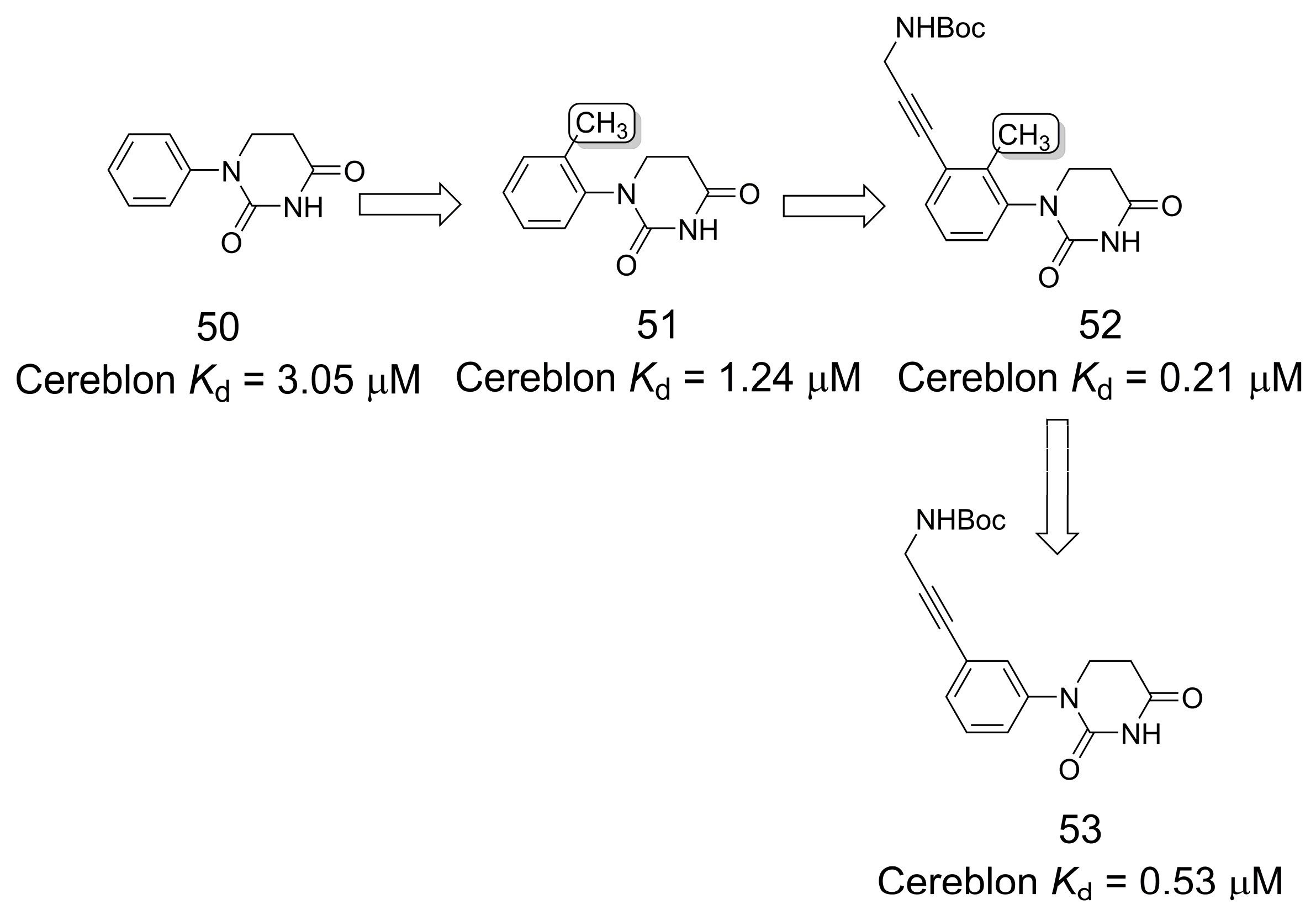 Pharmaceuticals 16 01157 g013 Pharmaceuticals 16 01157 g013