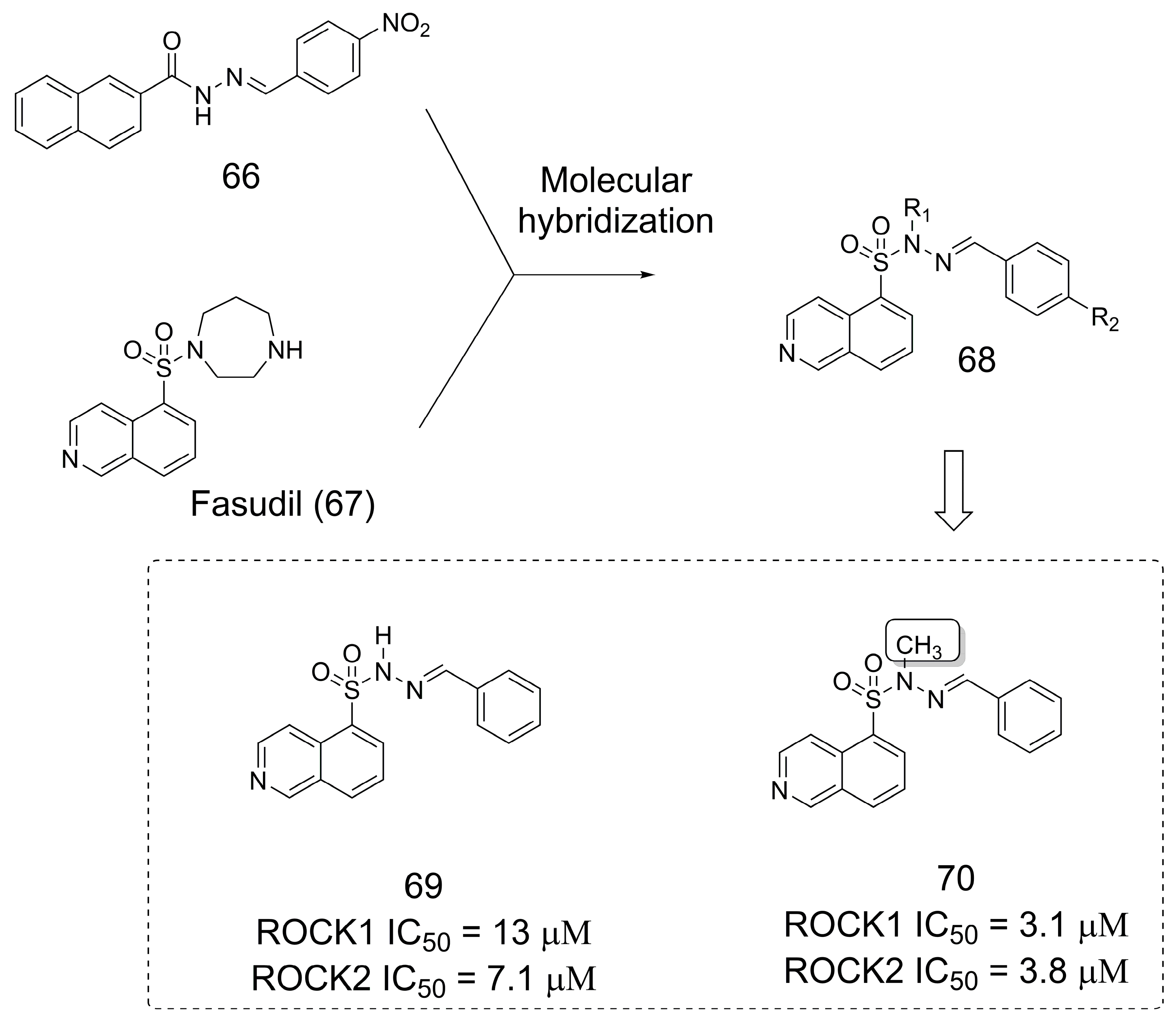 Pharmaceuticals 16 01157 g018 Pharmaceuticals 16 01157 g018