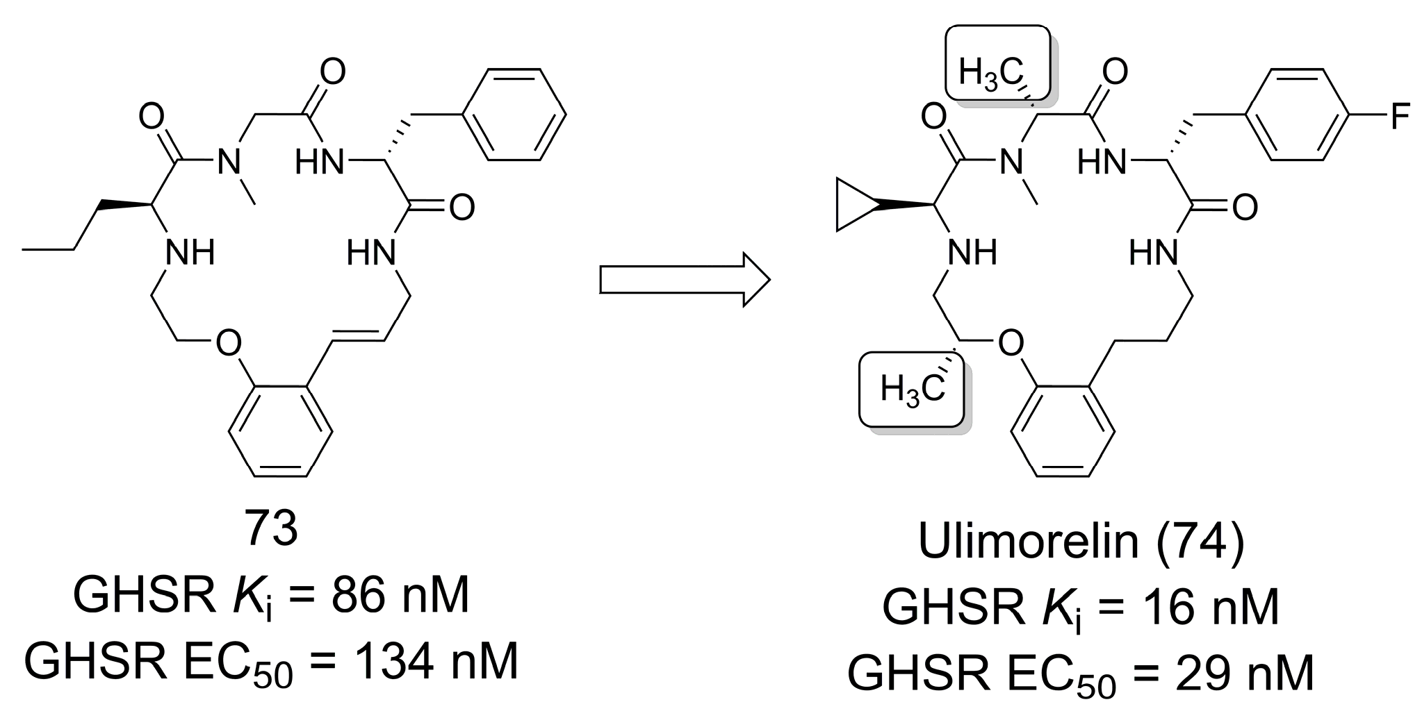 Pharmaceuticals 16 01157 g020 Pharmaceuticals 16 01157 g020