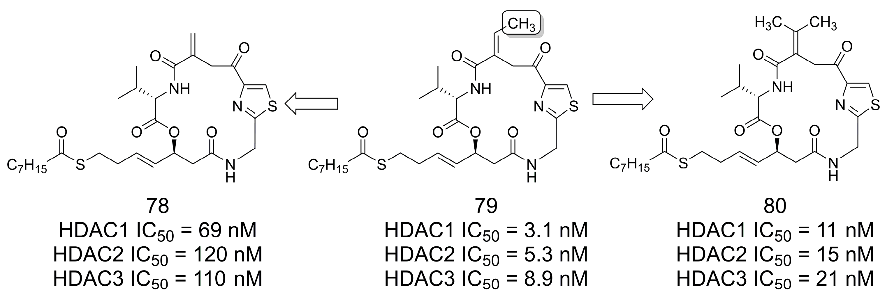 Pharmaceuticals 16 01157 g022 Pharmaceuticals 16 01157 g022