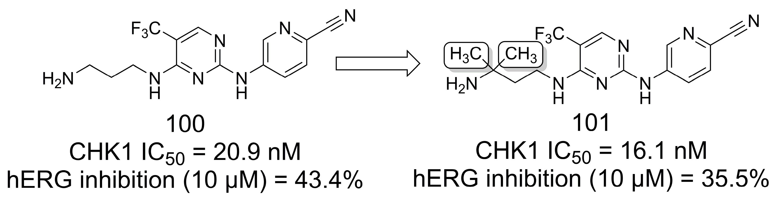 Pharmaceuticals 16 01157 g028 Pharmaceuticals 16 01157 g028