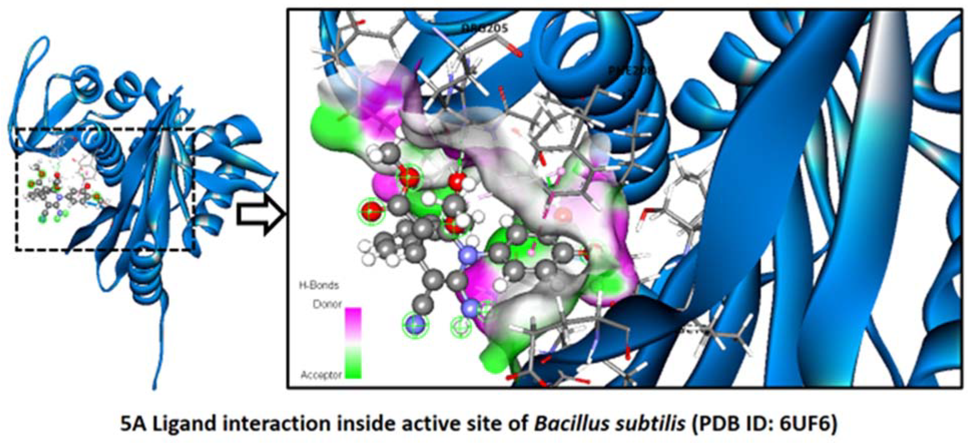 Pharmaceuticals 16 01159 g001