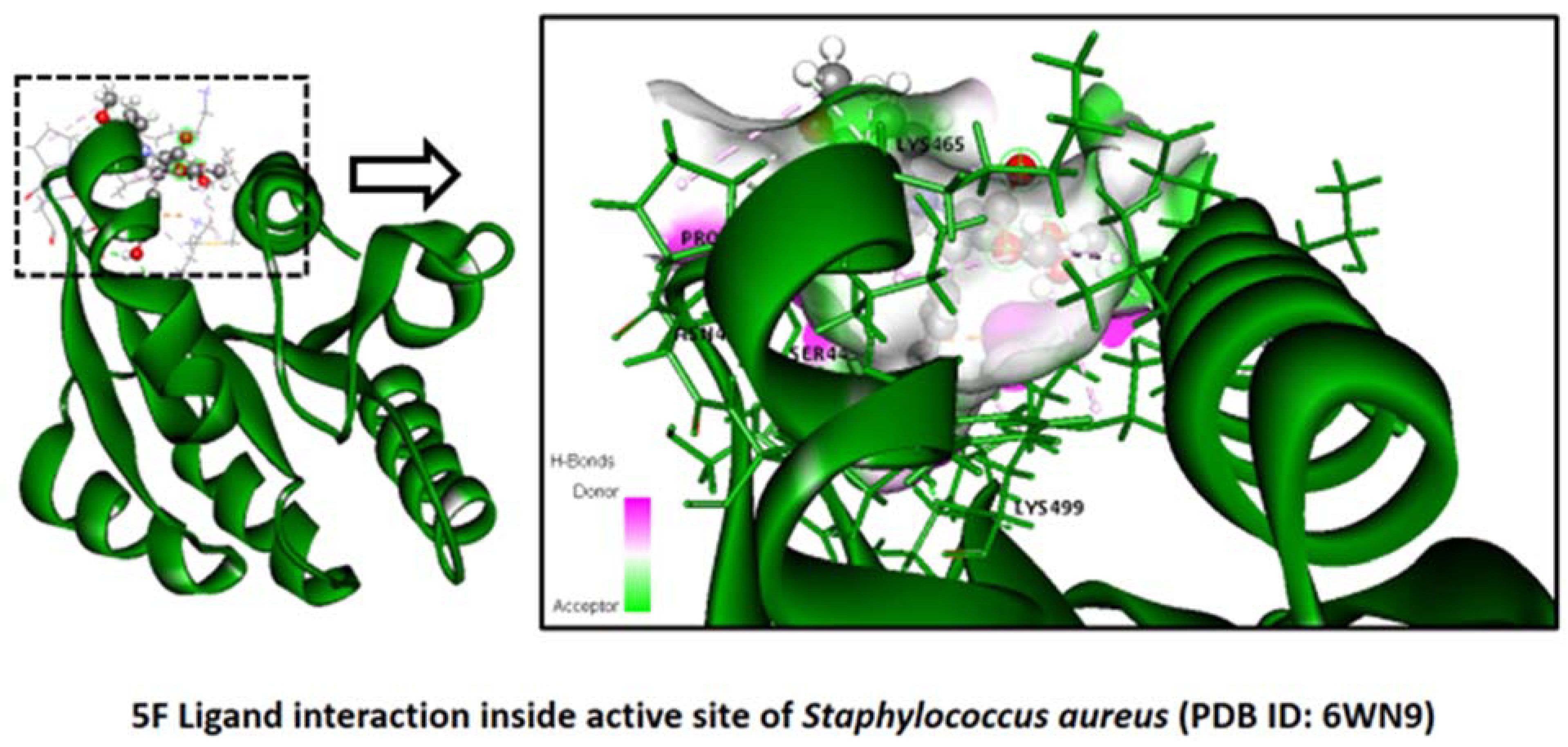 Pharmaceuticals 16 01159 g003