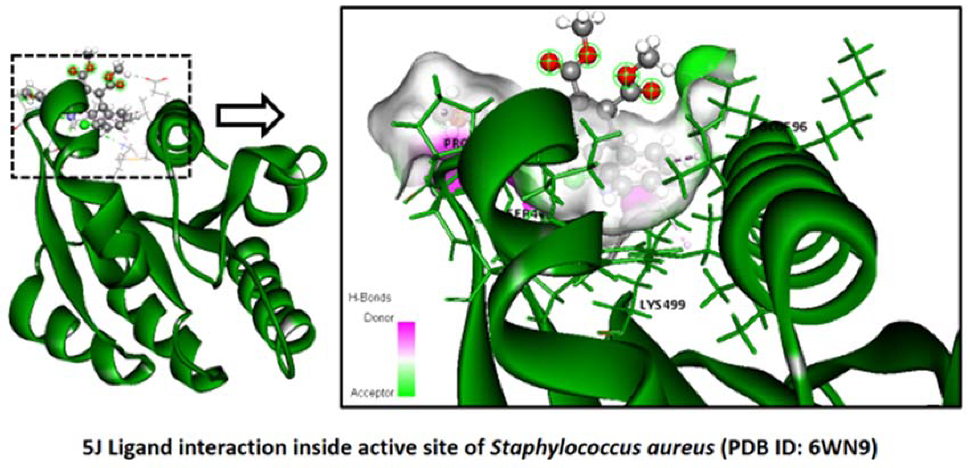 Pharmaceuticals 16 01159 g004