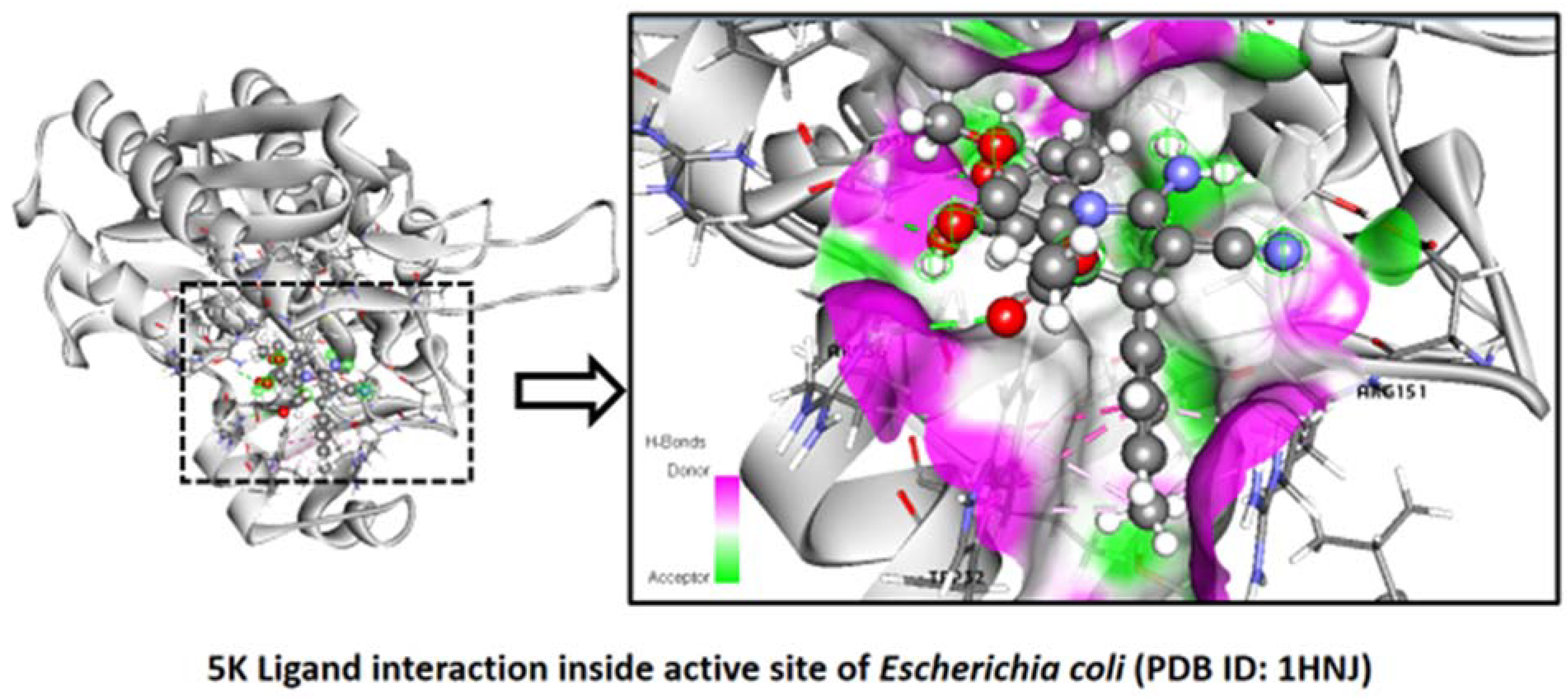 Pharmaceuticals 16 01159 g005