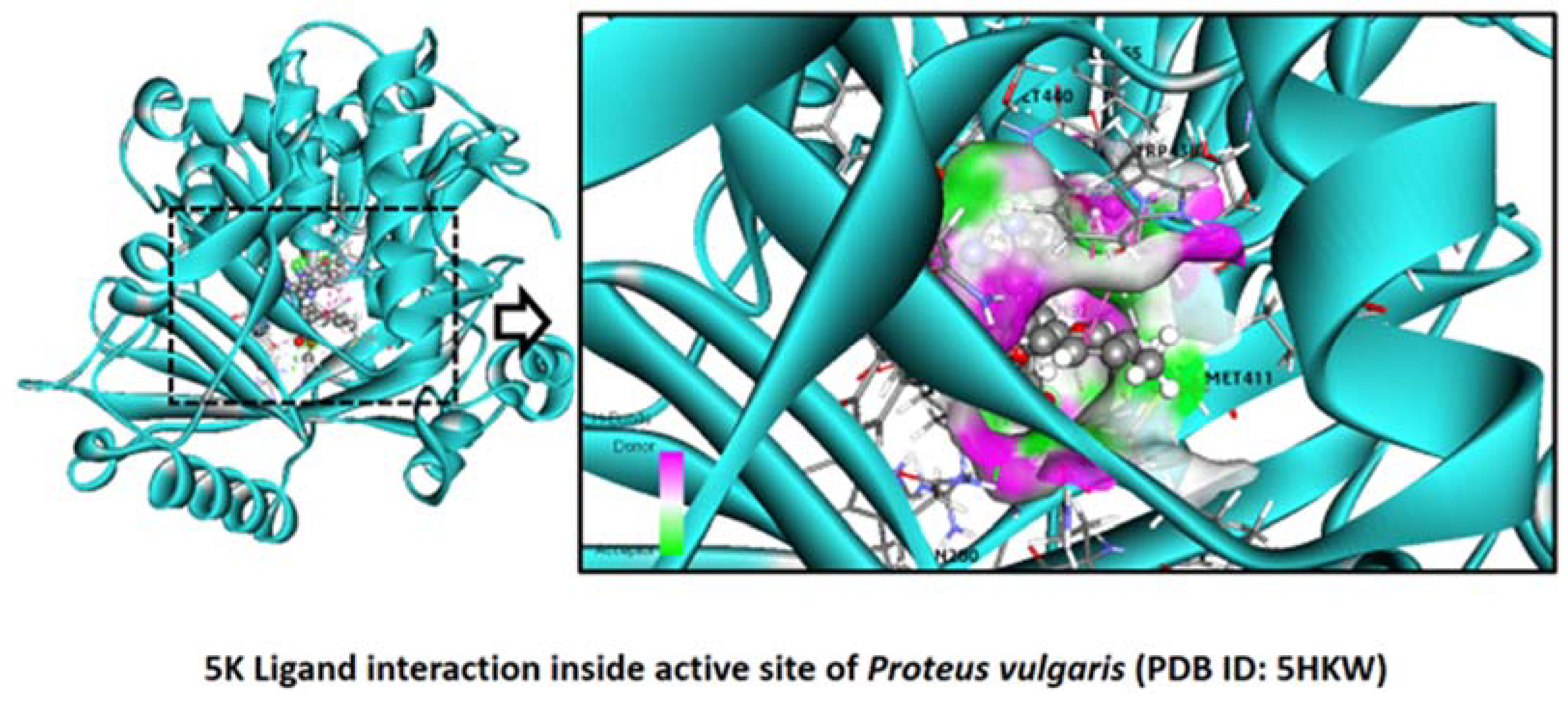 Pharmaceuticals 16 01159 g008