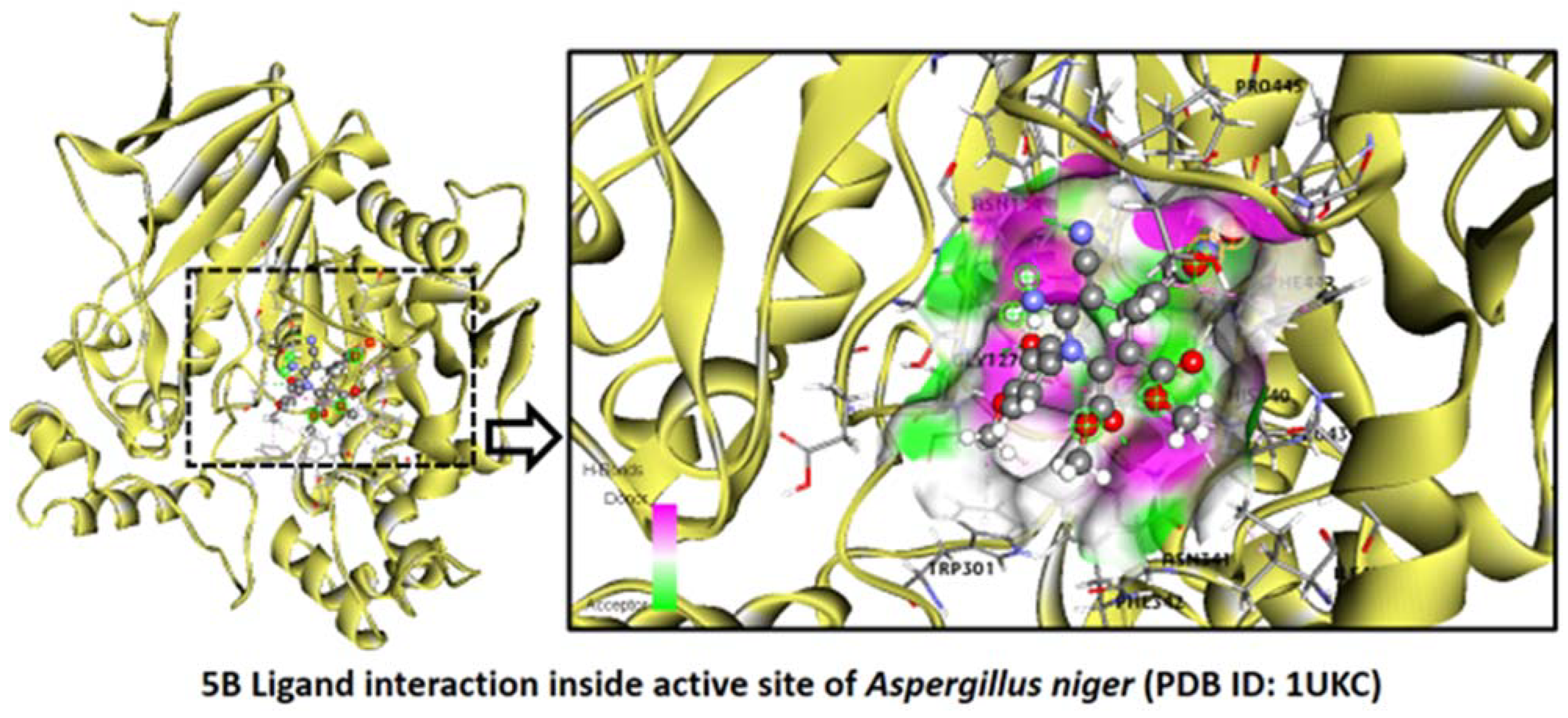 Pharmaceuticals 16 01159 g009