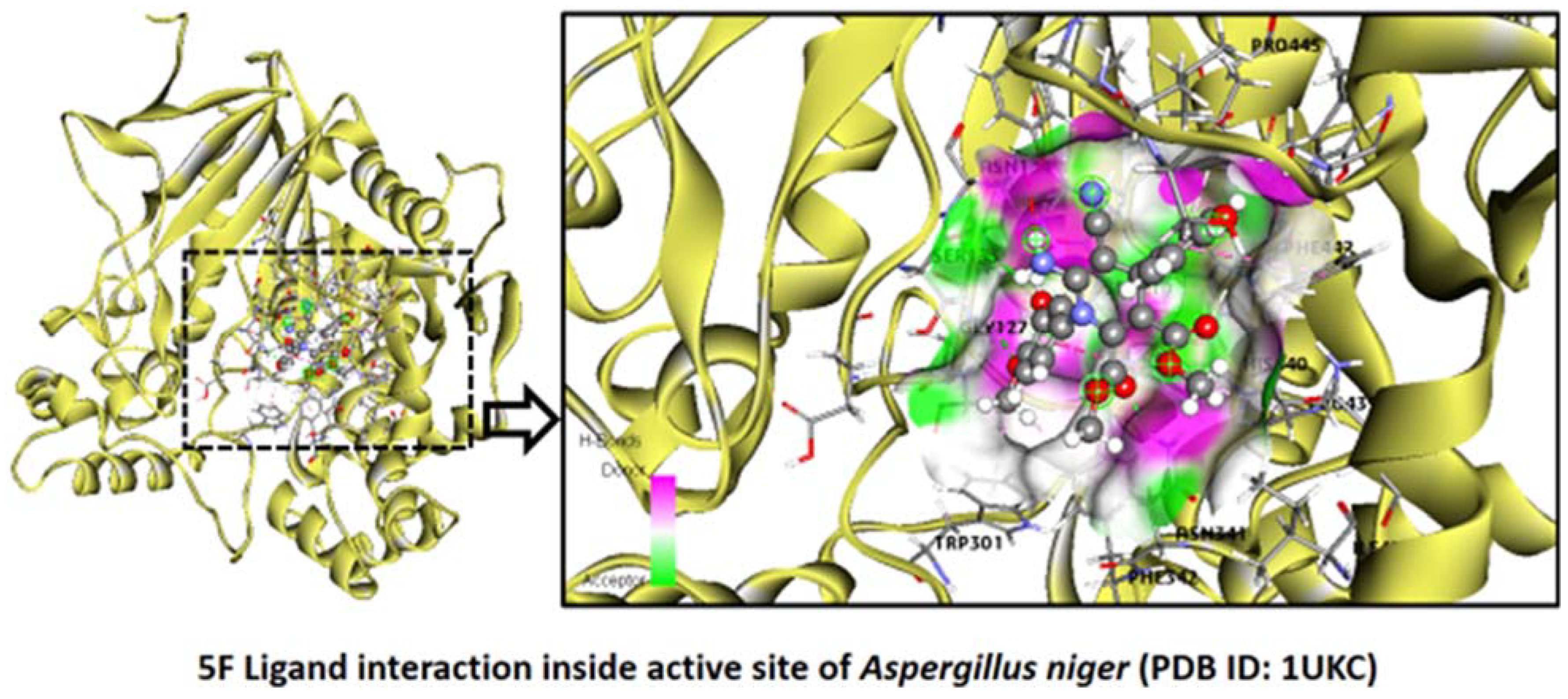 Pharmaceuticals 16 01159 g010