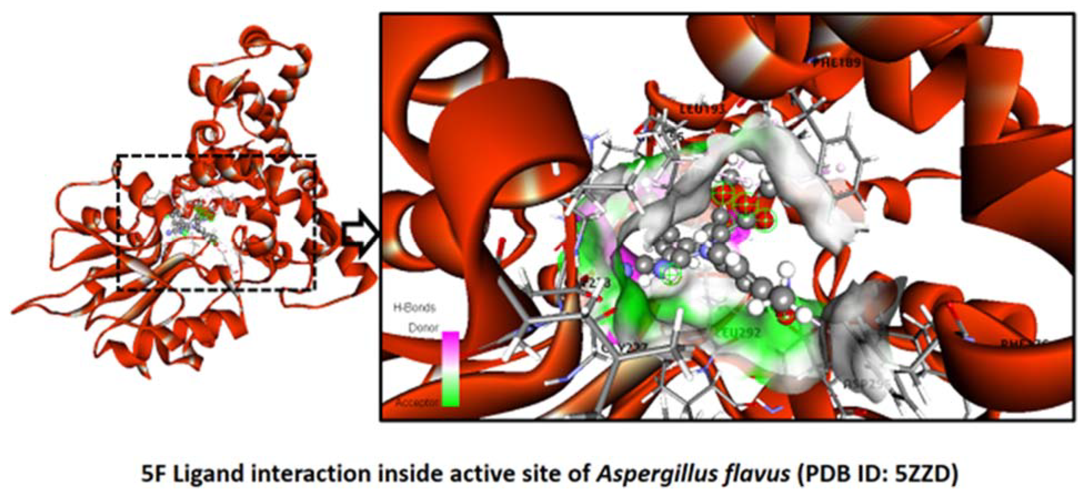 Pharmaceuticals 16 01159 g011