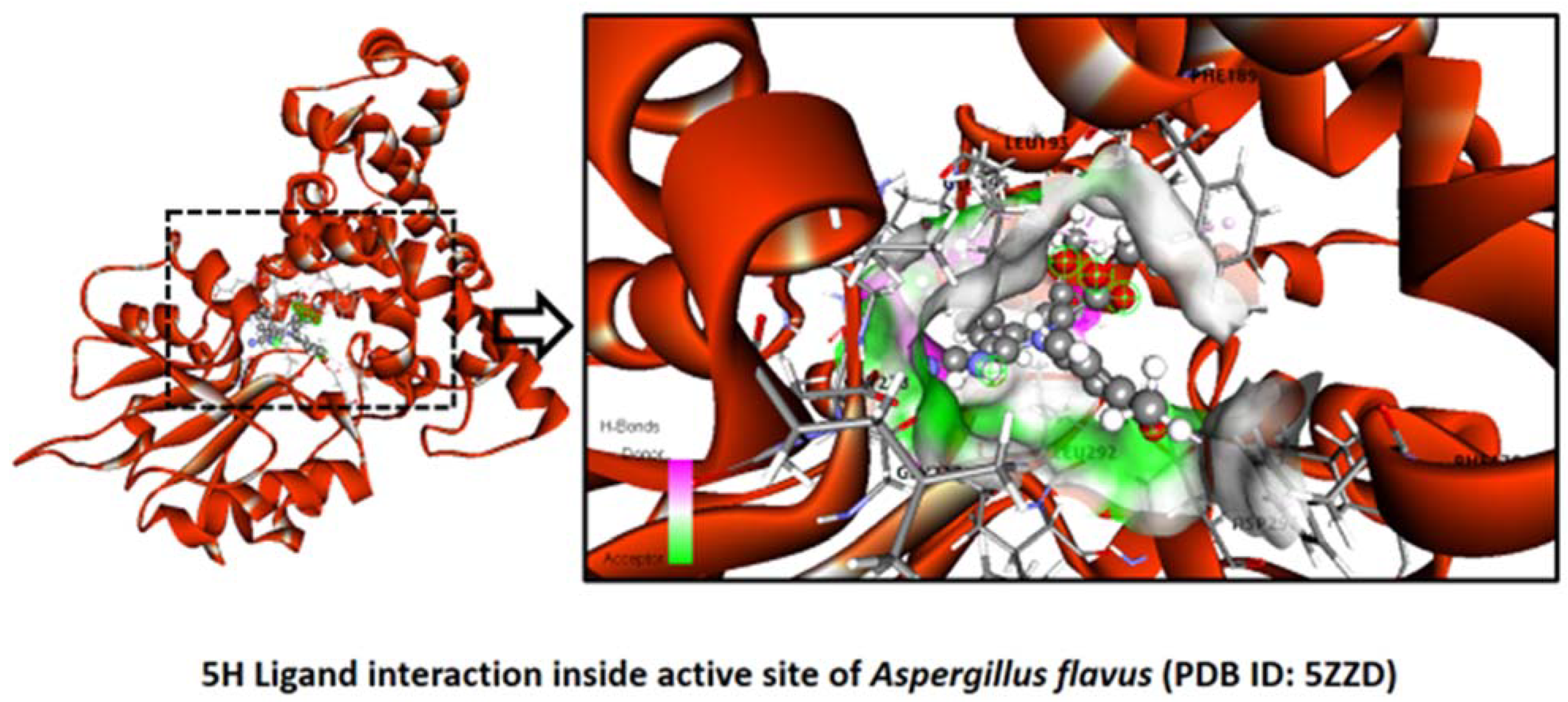 Pharmaceuticals 16 01159 g012