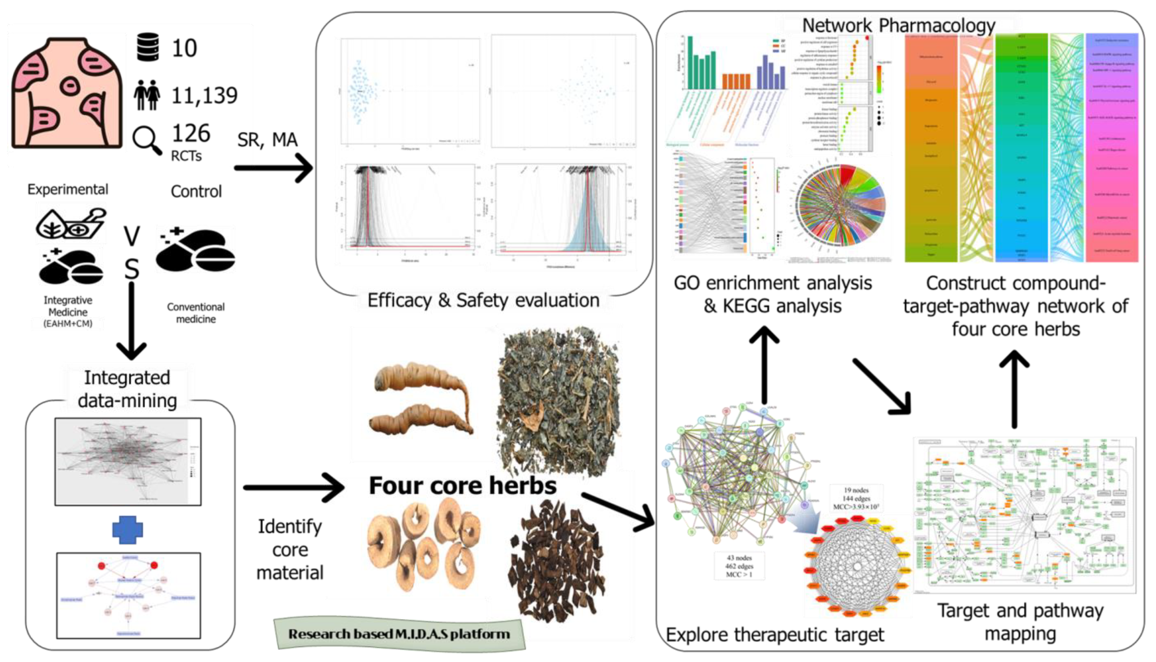 Pharmaceuticals Free Full-Text Efficacy and Key Materials of East Asian Herbal Medicine Combined with Conventional Medicine on Inflammatory Skin Lesion in Patients with Psoriasis Vulgaris A Meta-Analysis, Integrated Data Mining,