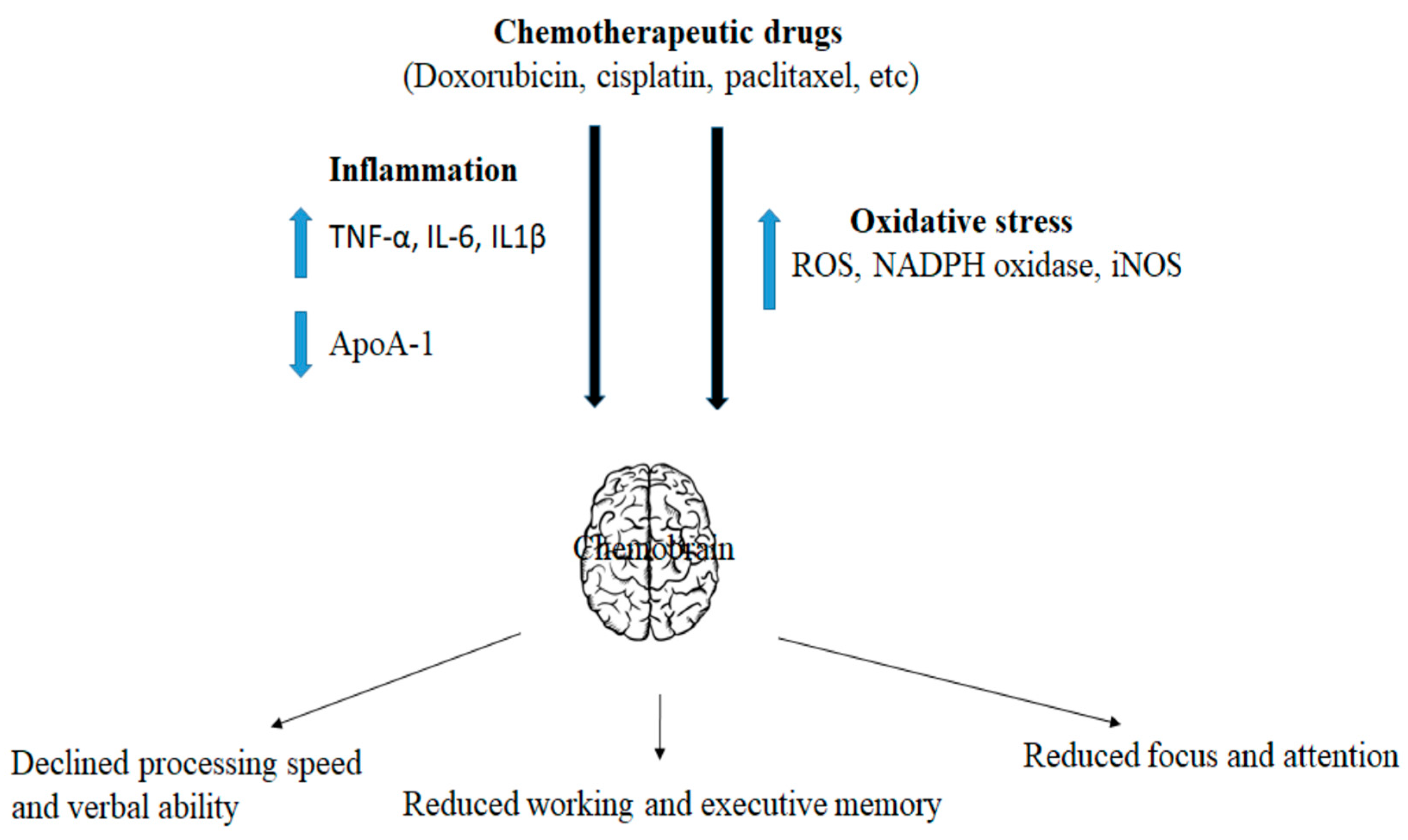 Pharmaceuticals 16 01165 g002