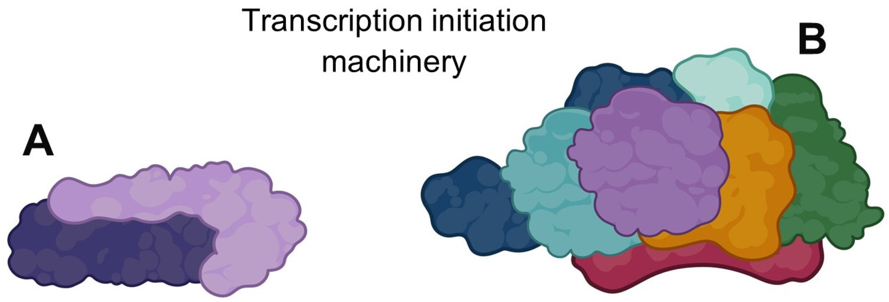 Pharmaceuticals 16 01168 g002