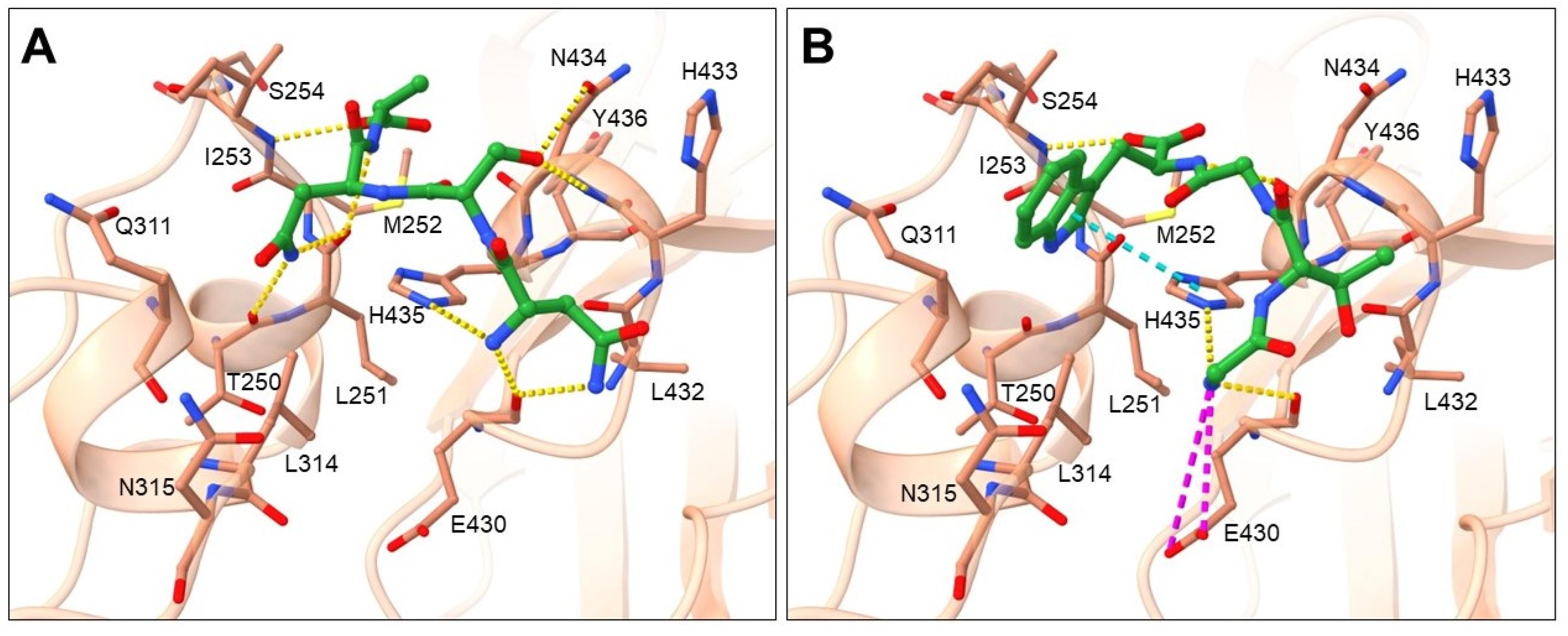 Pharmaceuticals 16 01170 g005