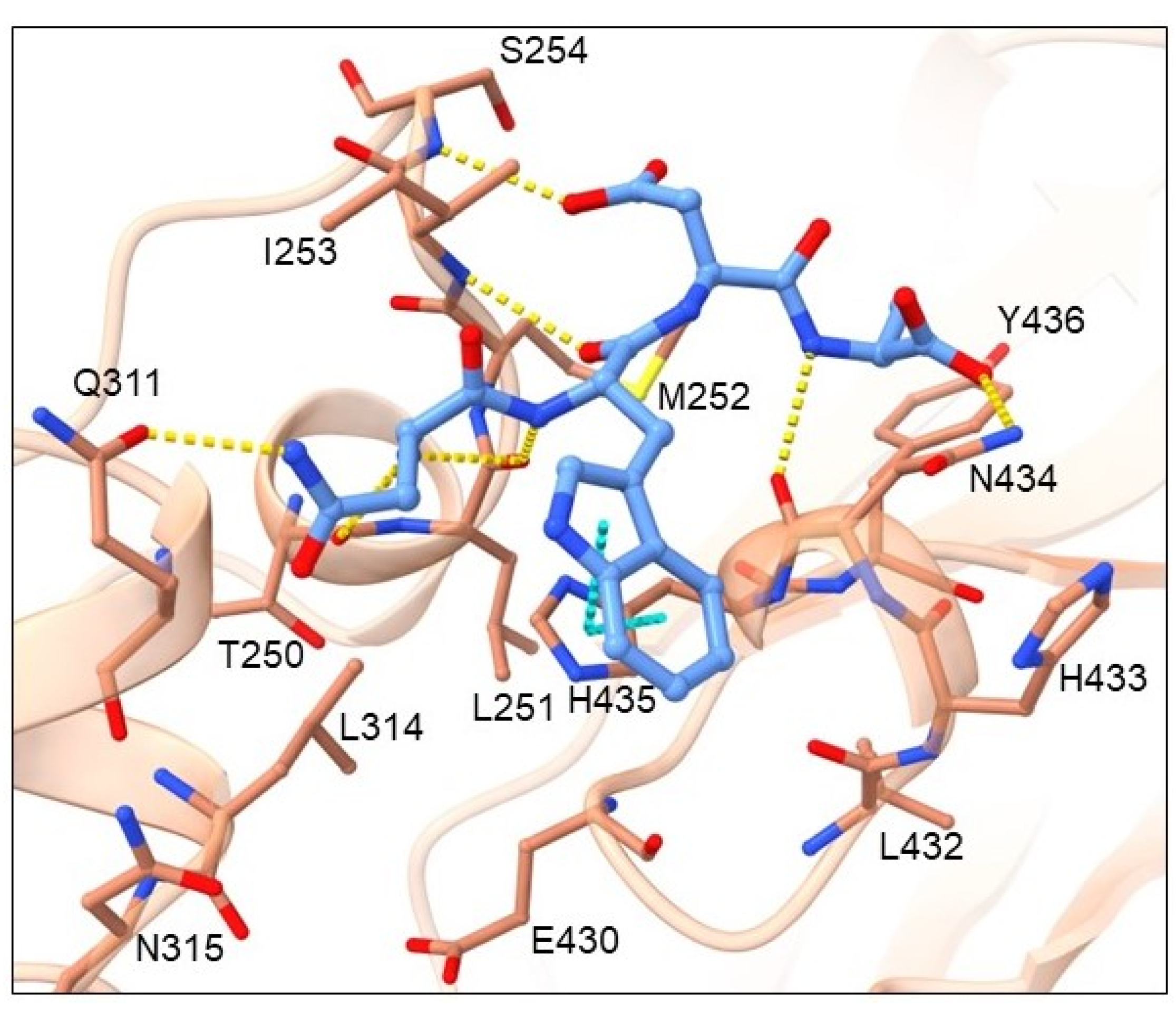 Pharmaceuticals 16 01170 g008