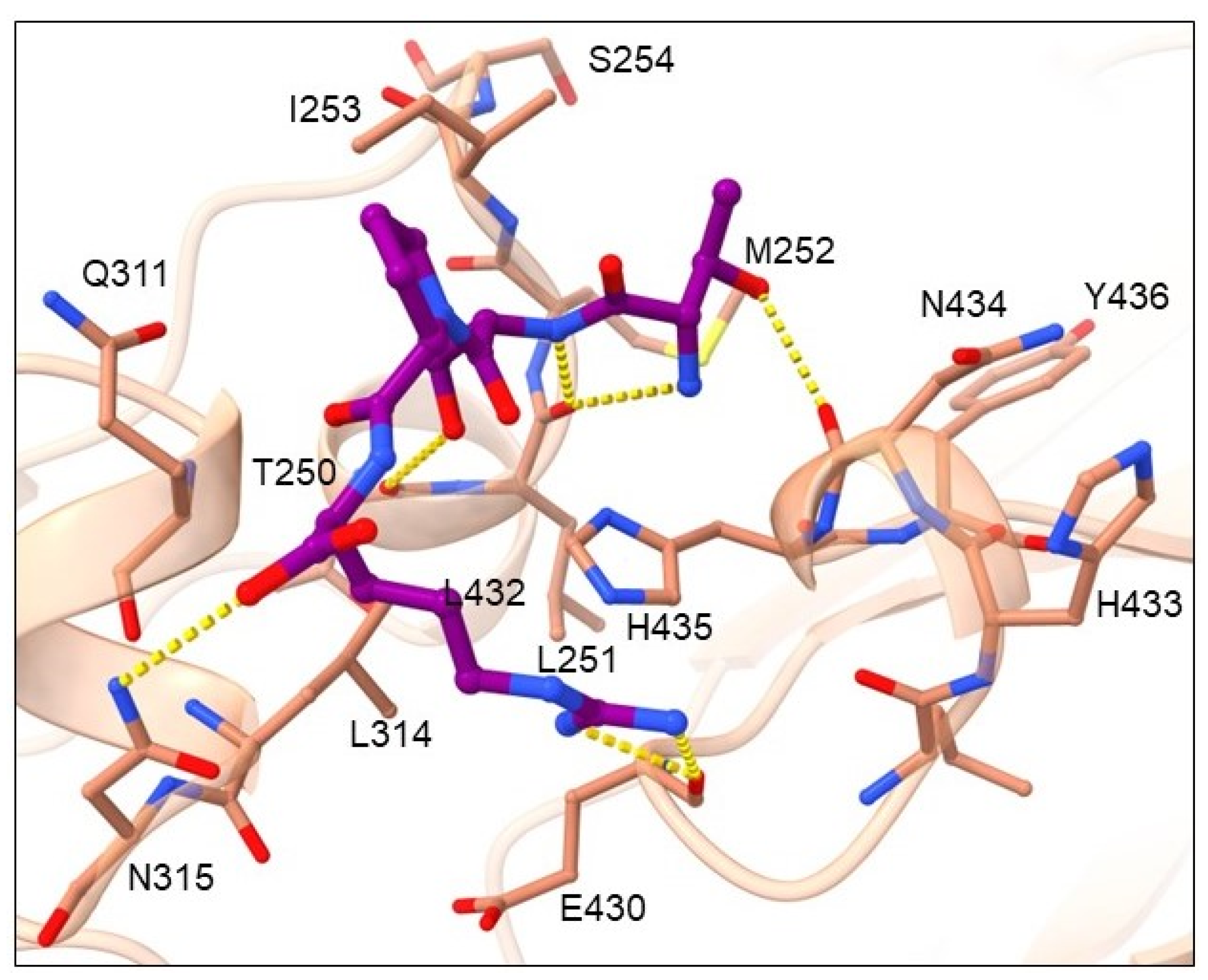 Pharmaceuticals 16 01170 g009