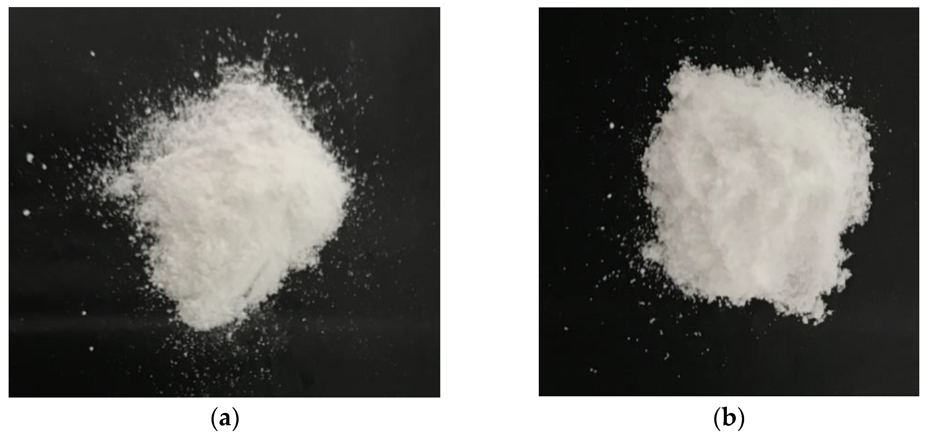 Pharmaceuticals 16 01171 g009