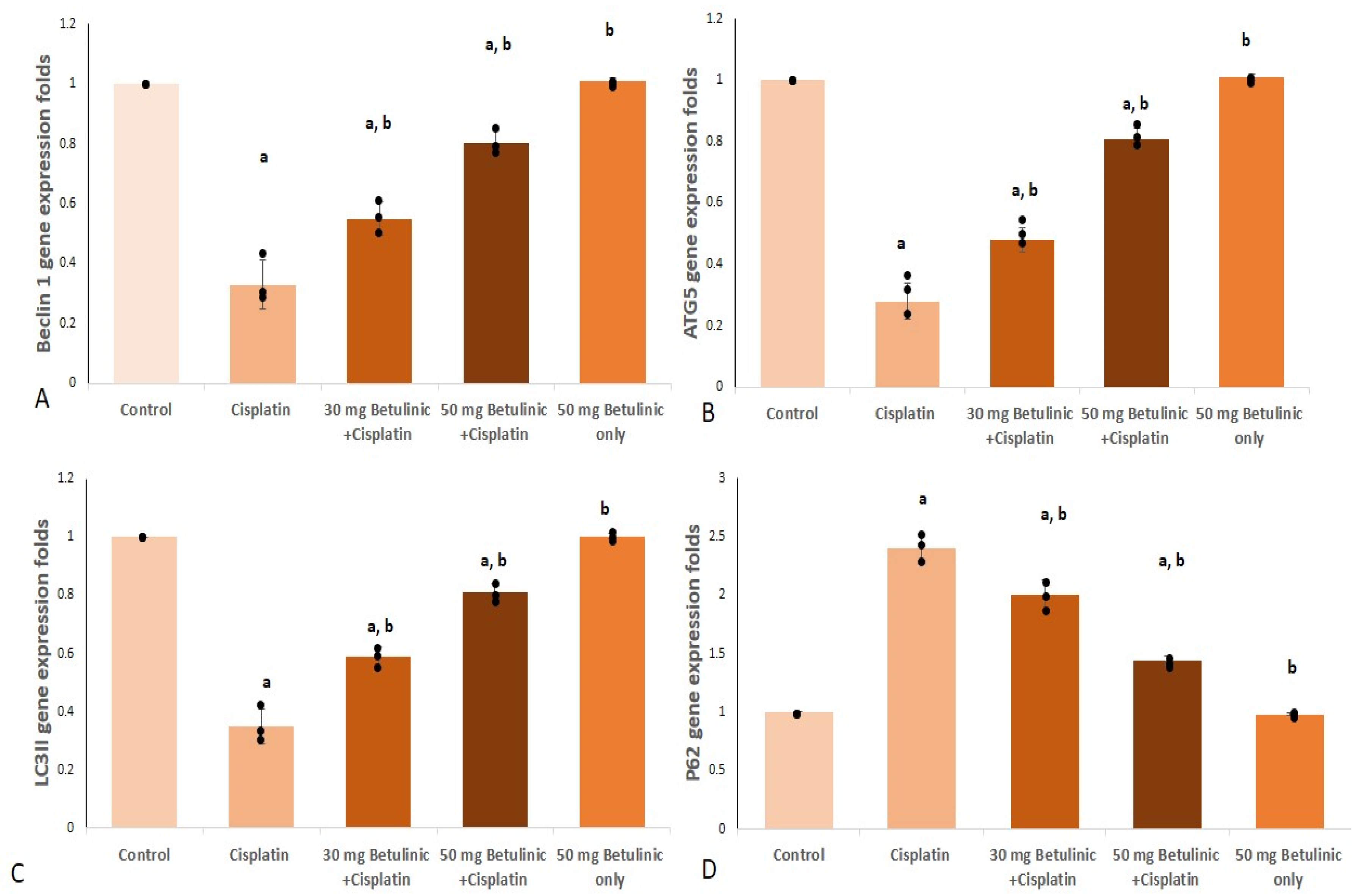 Pharmaceuticals 16 01180 g004