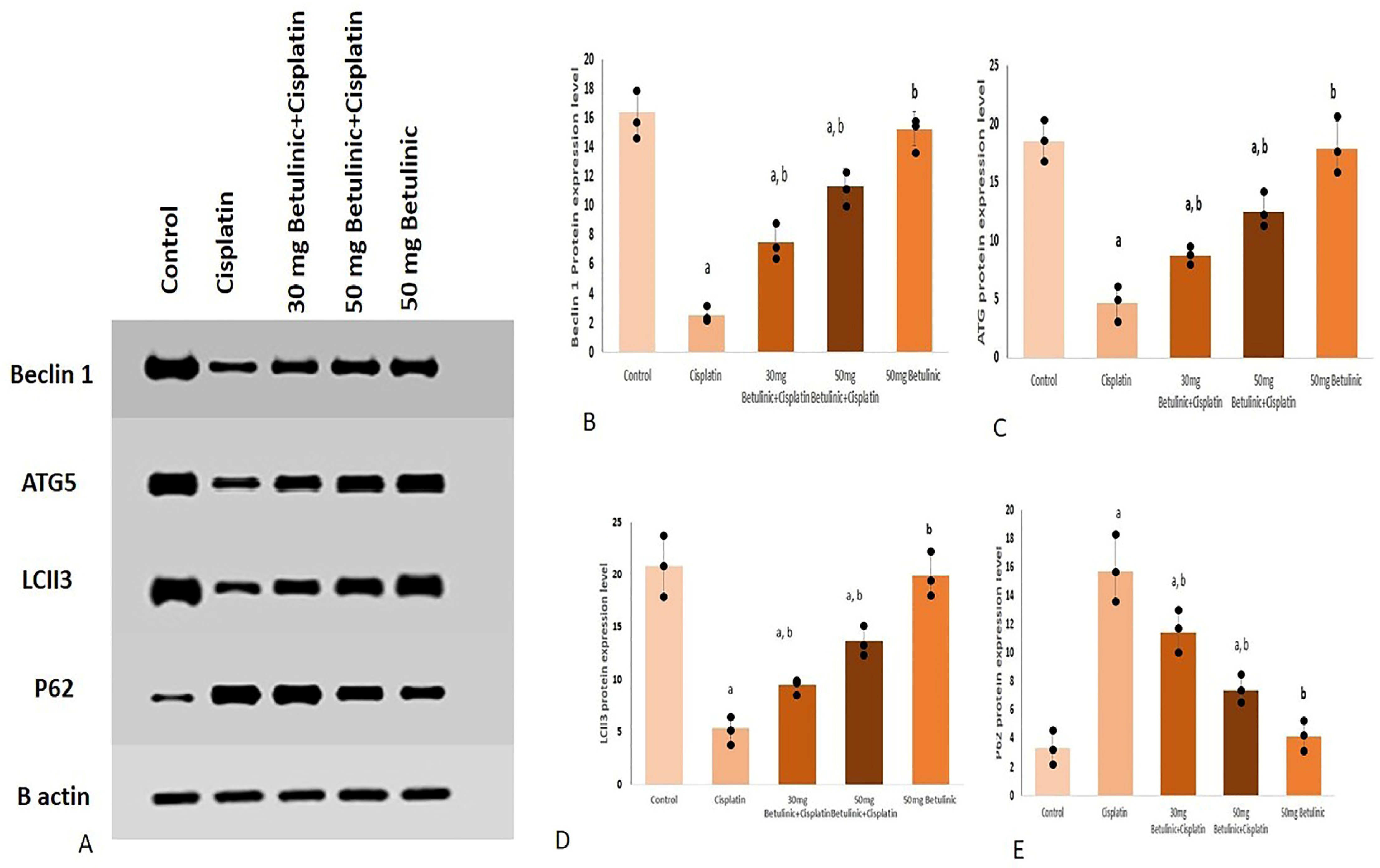 Pharmaceuticals 16 01180 g005